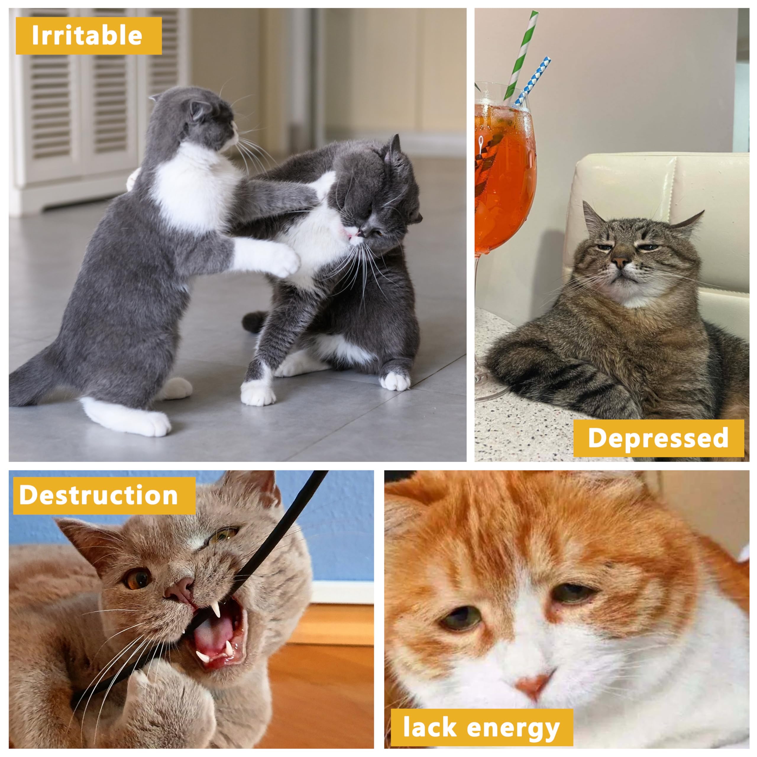 Maiiu 3 Pack Catnip Toys,Soft And Durable Cat Pillows Toys, Rich Color Catnip Toys,Indoor Interactive Cat Kicker Toys, Companion