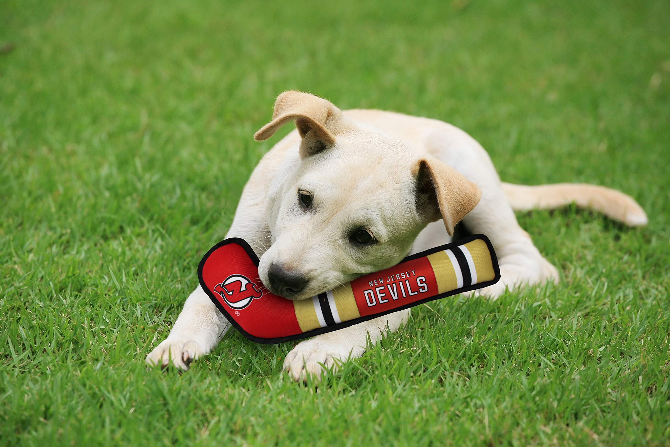 Pets First Nhl New Jersey Devils Stick Toy For Dogs & Cats. Play Hockey With Your Pet With This Licensed Dog Tough Toy Reward! 1