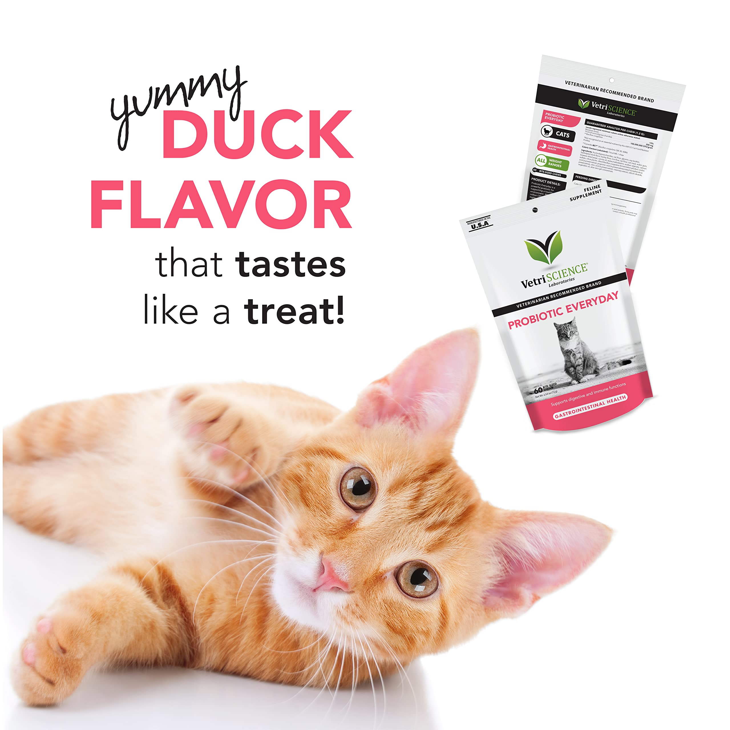 VetriScience Probiotic Everyday for Cats, Digestive Support Supplement, Duck Flavor, 60 Bite Sized Chews - Probiotics and Prebio