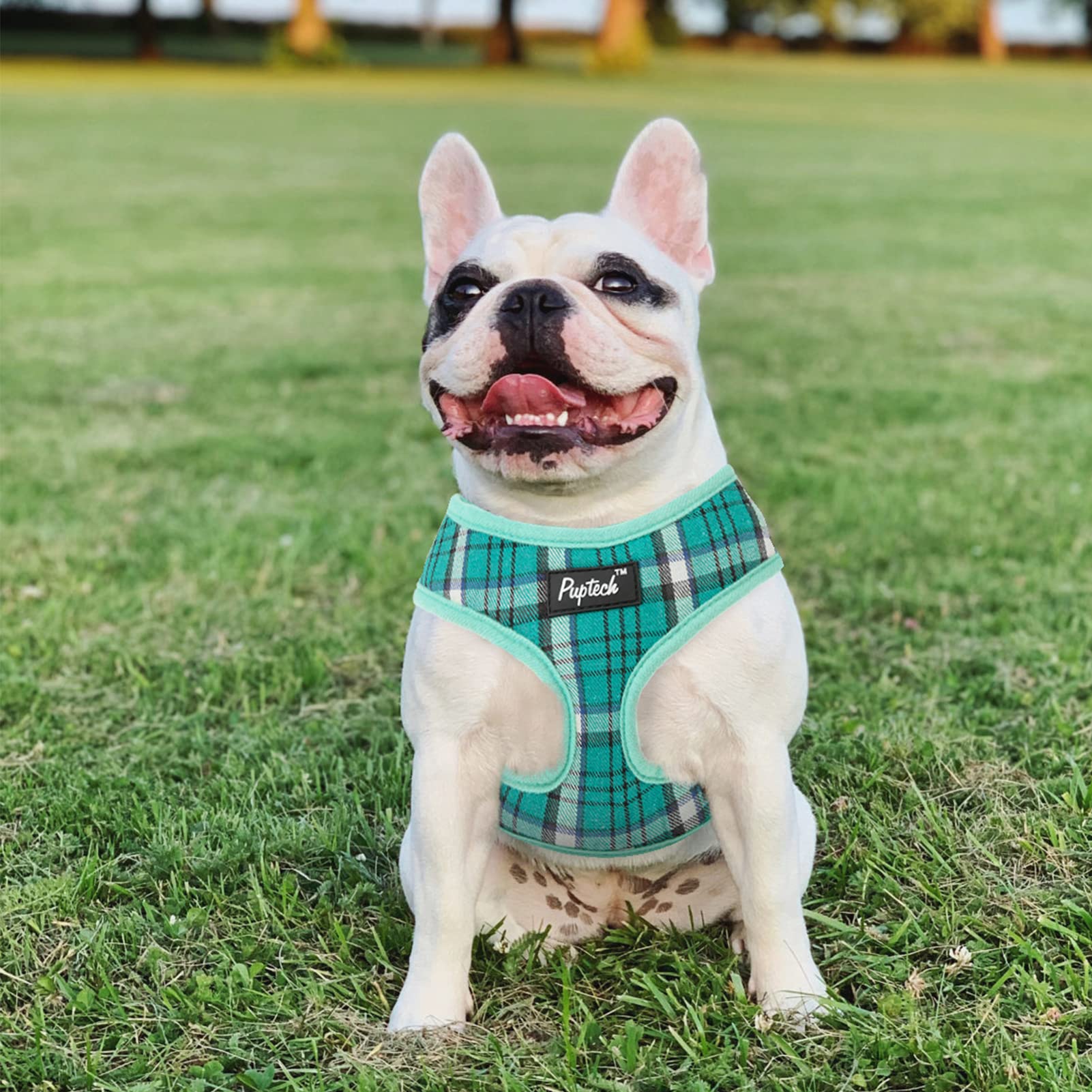 Pupteck Soft Mesh Dog Harness And Leash Set Pet Puppy Cat Comfort Padded Vest No Pull Harnesses, Green, Xs