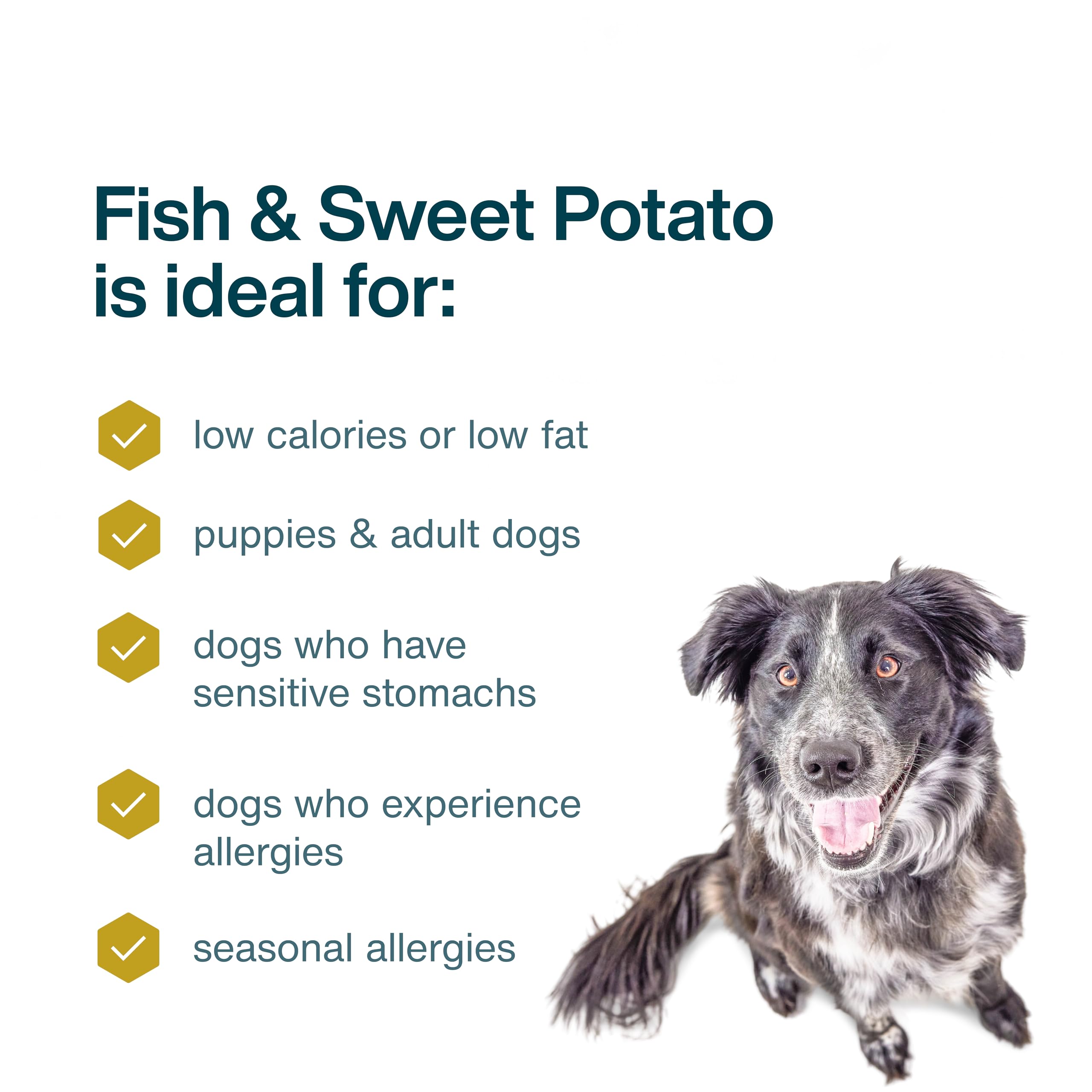 JustFoodForDogs Frozen Fresh Dog Food, Complete Meal or Dog Food Topper, Fish & Sweet Potato Human Grade Dog Food Recipe, 18 oz