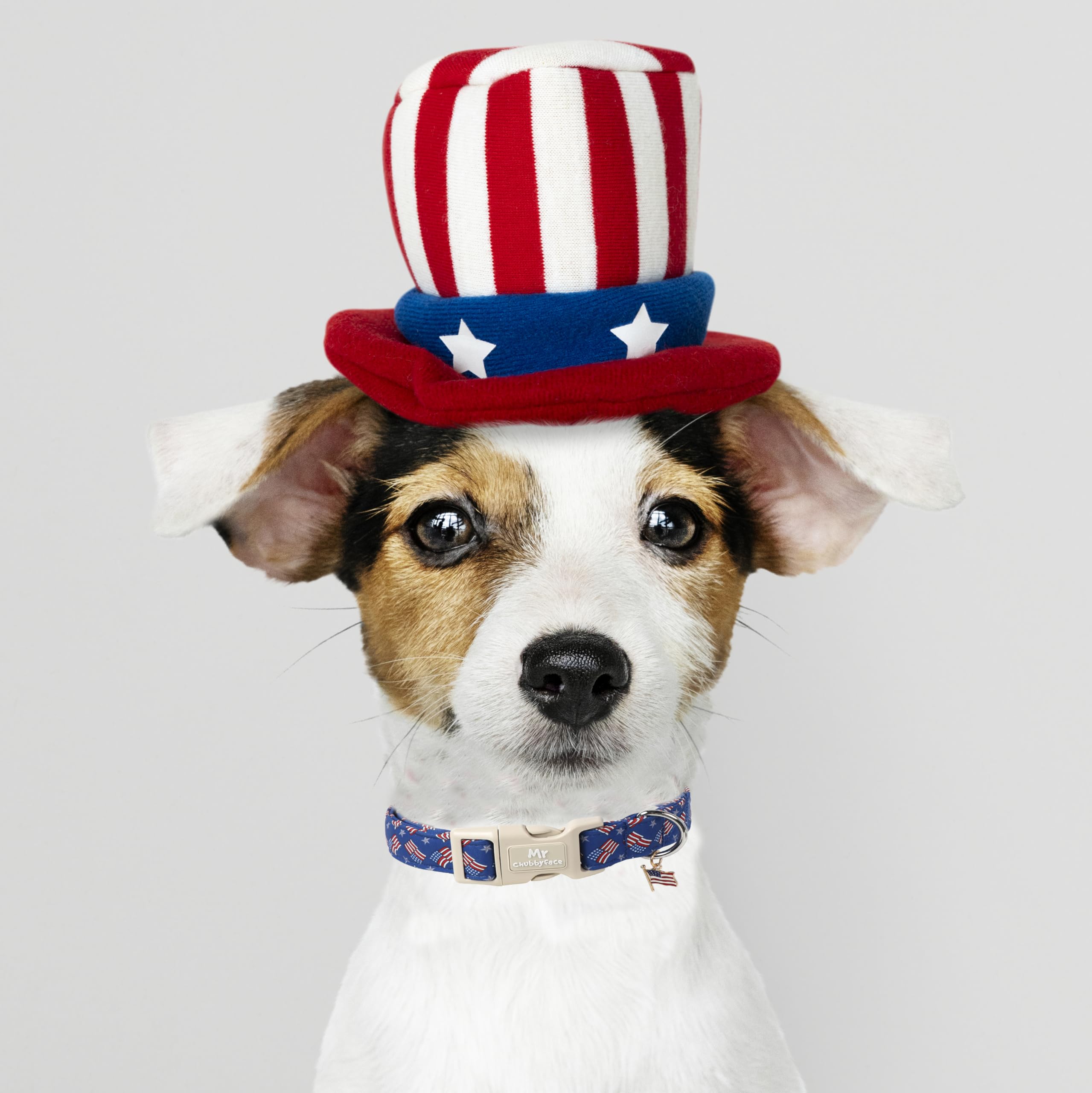 Mr.Chubbyface American Flag Dog Collar, 4Th Of July Puppy Collar With Plastic Buckle, Patriotic Puppy Collar For Small Medium La