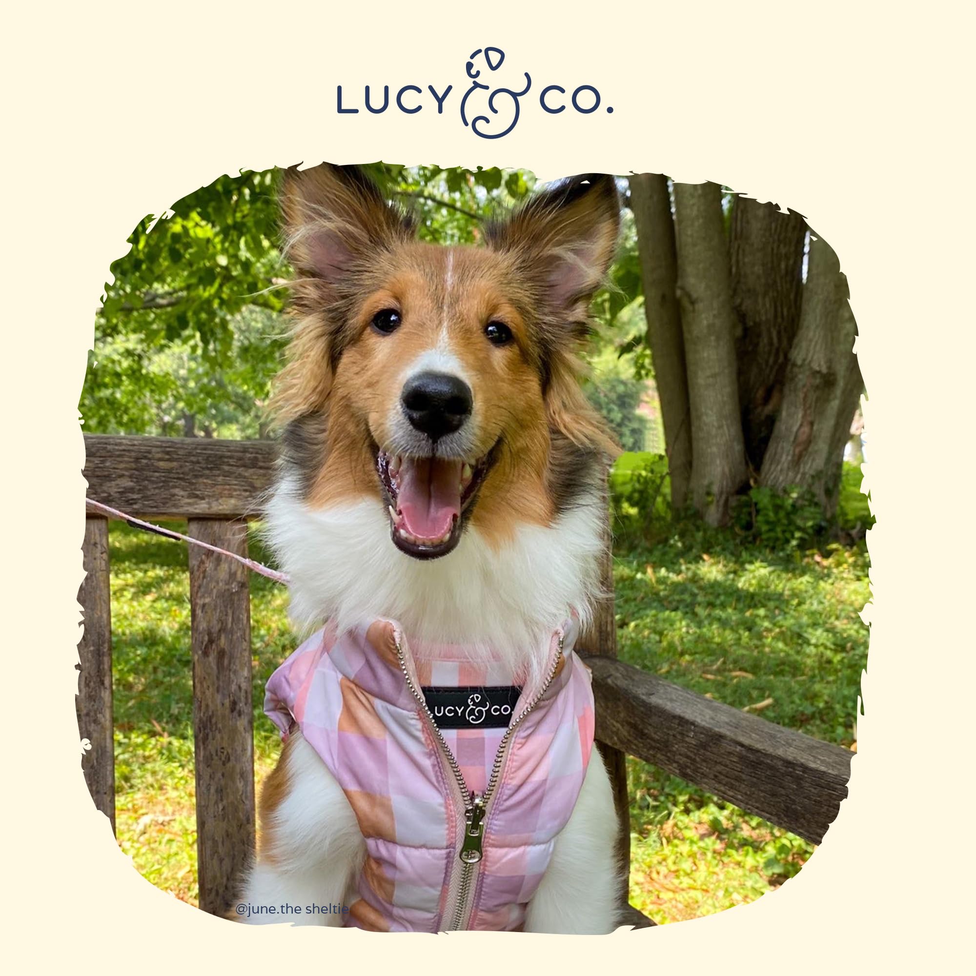 Lucy & Co. The Daisy Delight Reversible Puffer Vest (Pets) For Small Dogs, Medium Dogs And Large Dogs - Large - Pink Purple Tan