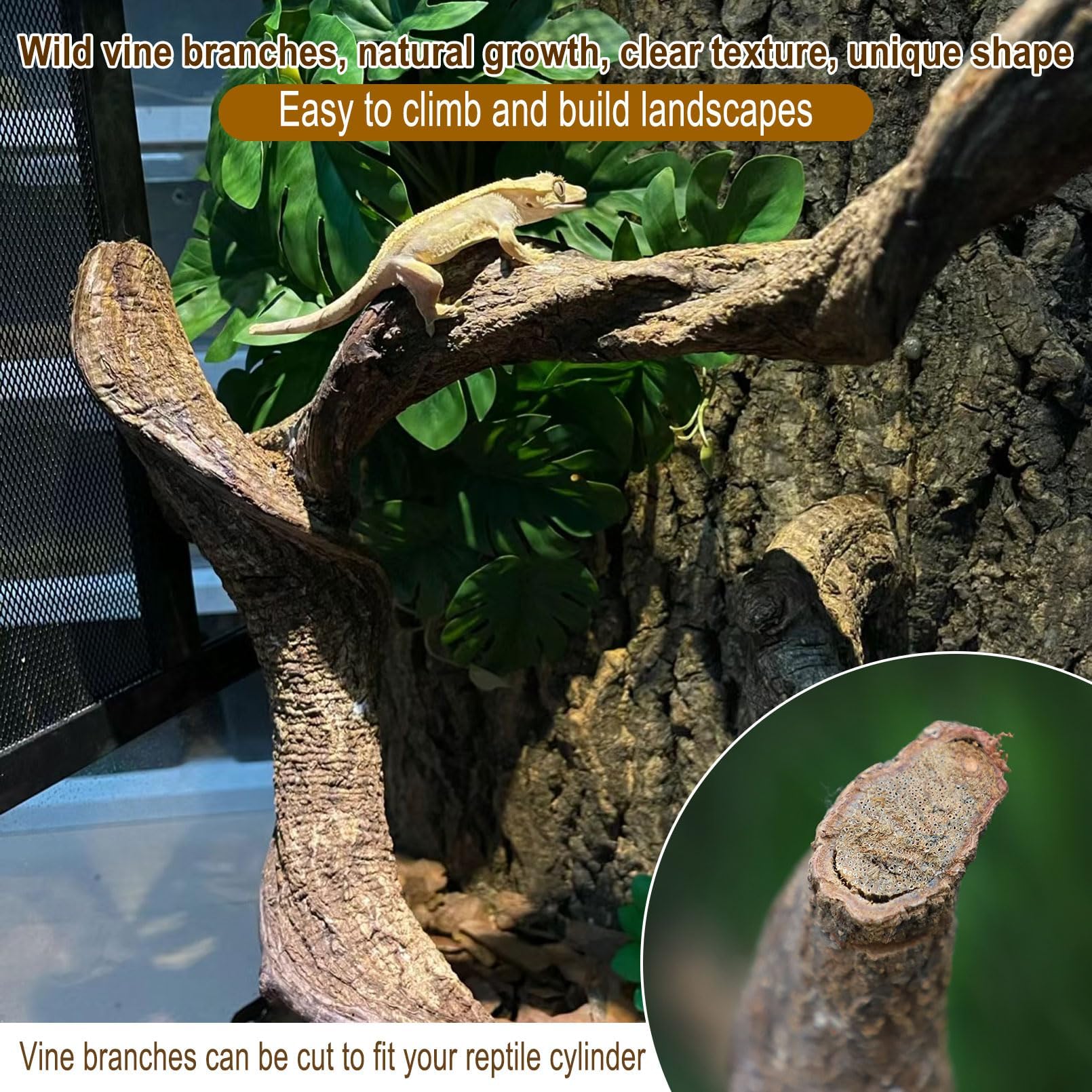 Reptile Decor Natural Forest Branch Terrarium Habitat Decoration Lizard Climbing Tree Branch for Bearded Dragon Gecko Snake Frog