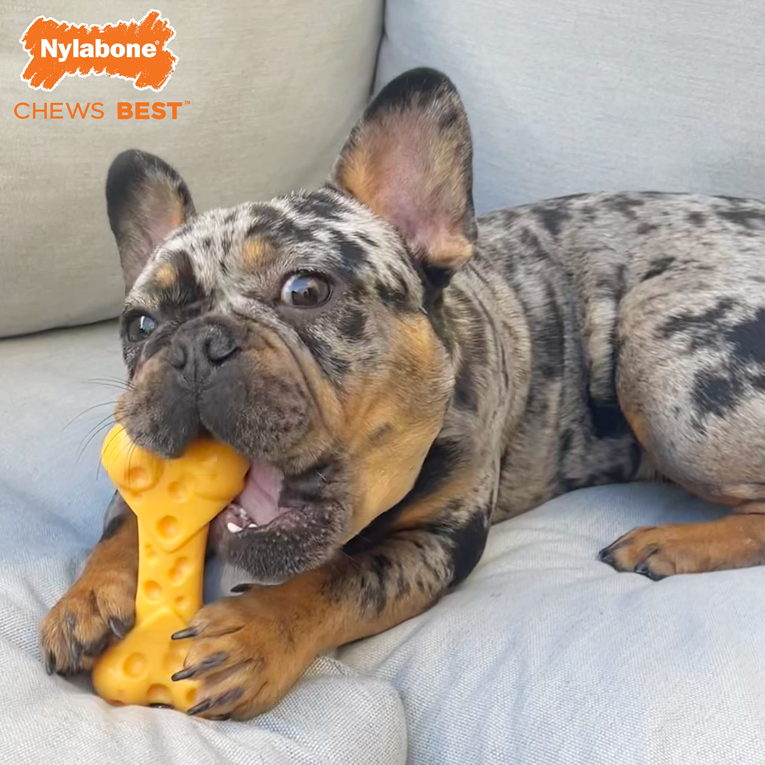 Nylabone Cheese Bone Power Chew Toy for Dogs, Cute Dog Toys for Aggressive Chewers, Cheese Flavor, X-Large - 50+ lbs, 1 Count