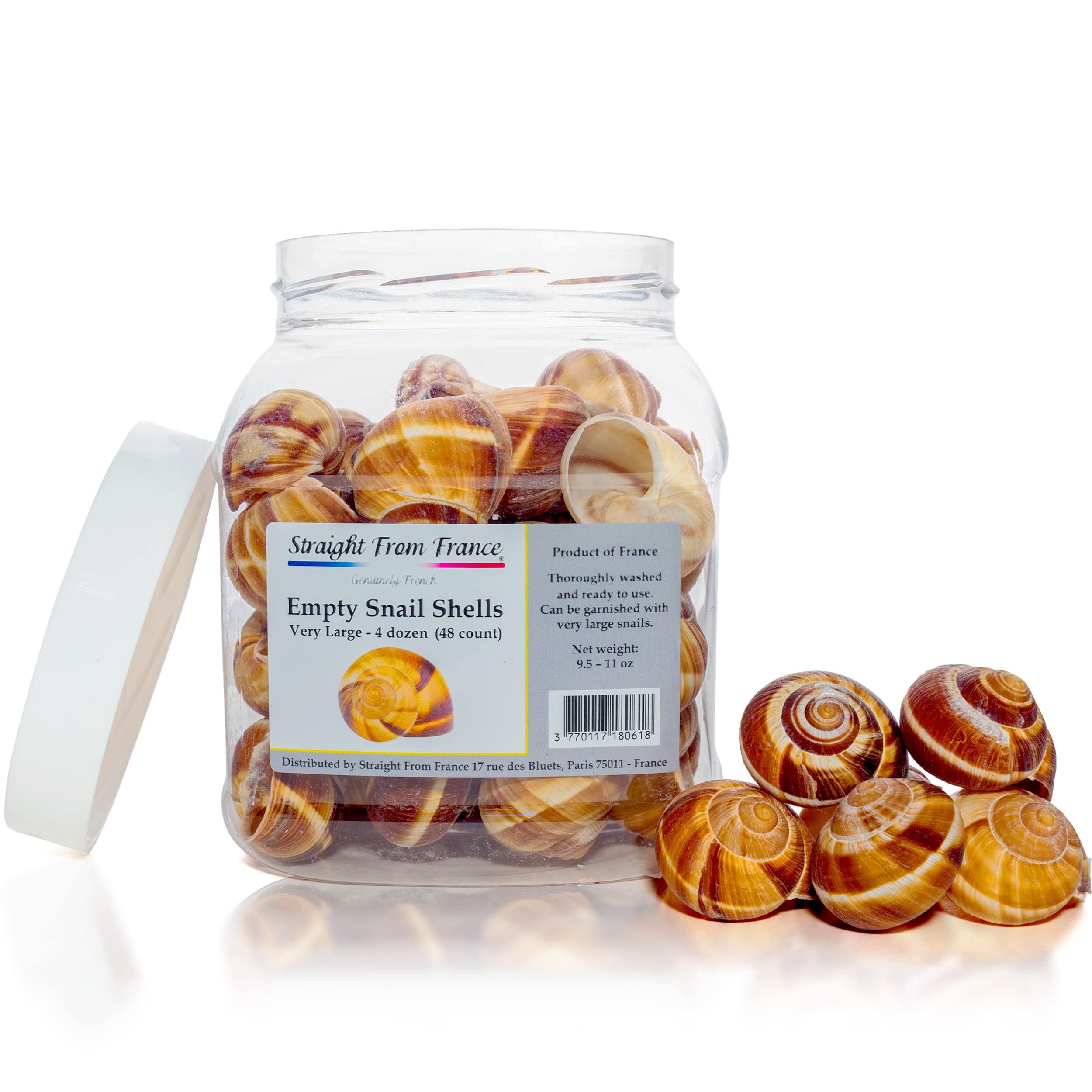 Straight from France Escargot Snail Shells Large 48 Count