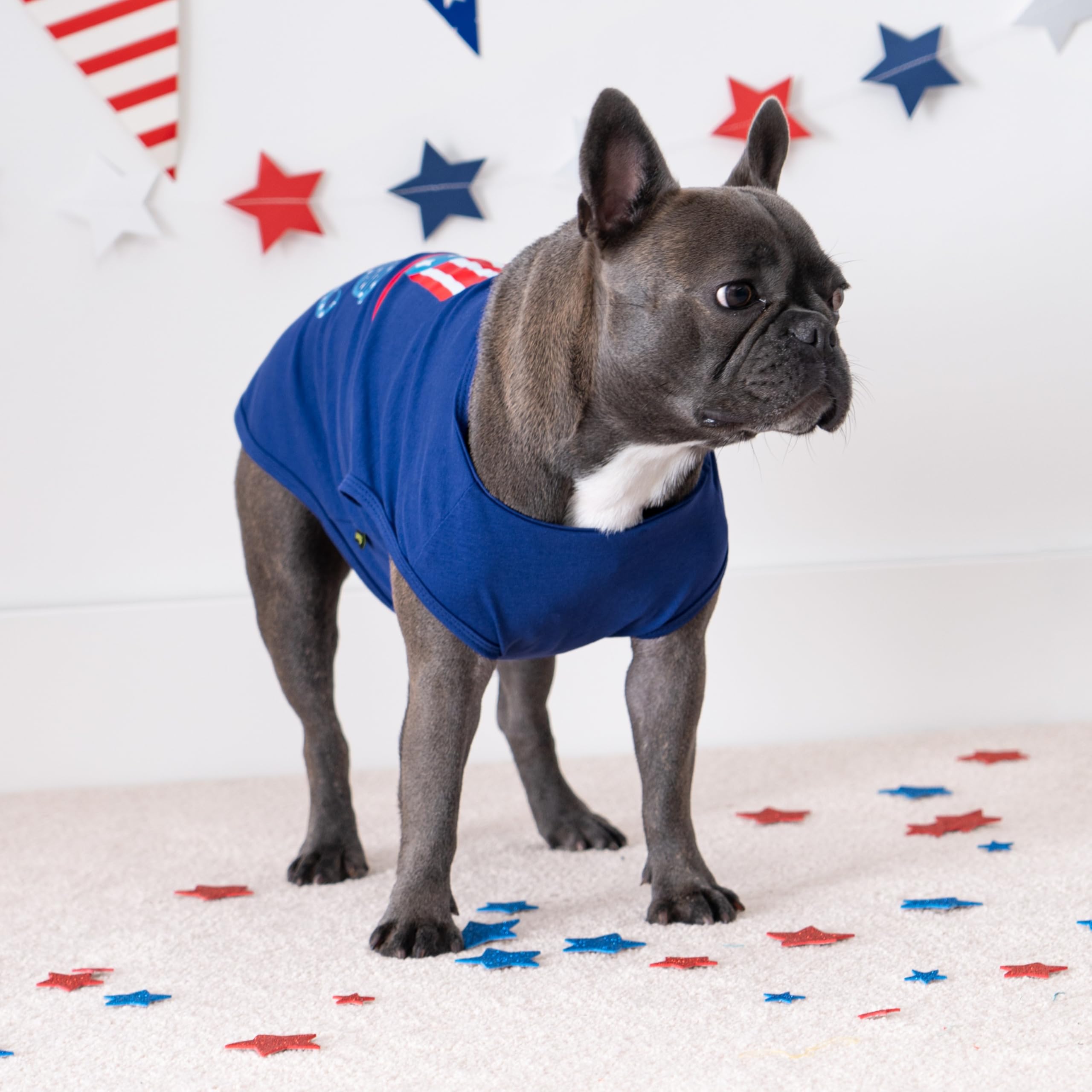 Fitwarm Patriotic Funny Dog Shirt, 4Th Of July Outfit For Small Dogs Boy Girl, Festive Pet Clothes, Red, White, Blue, Medium