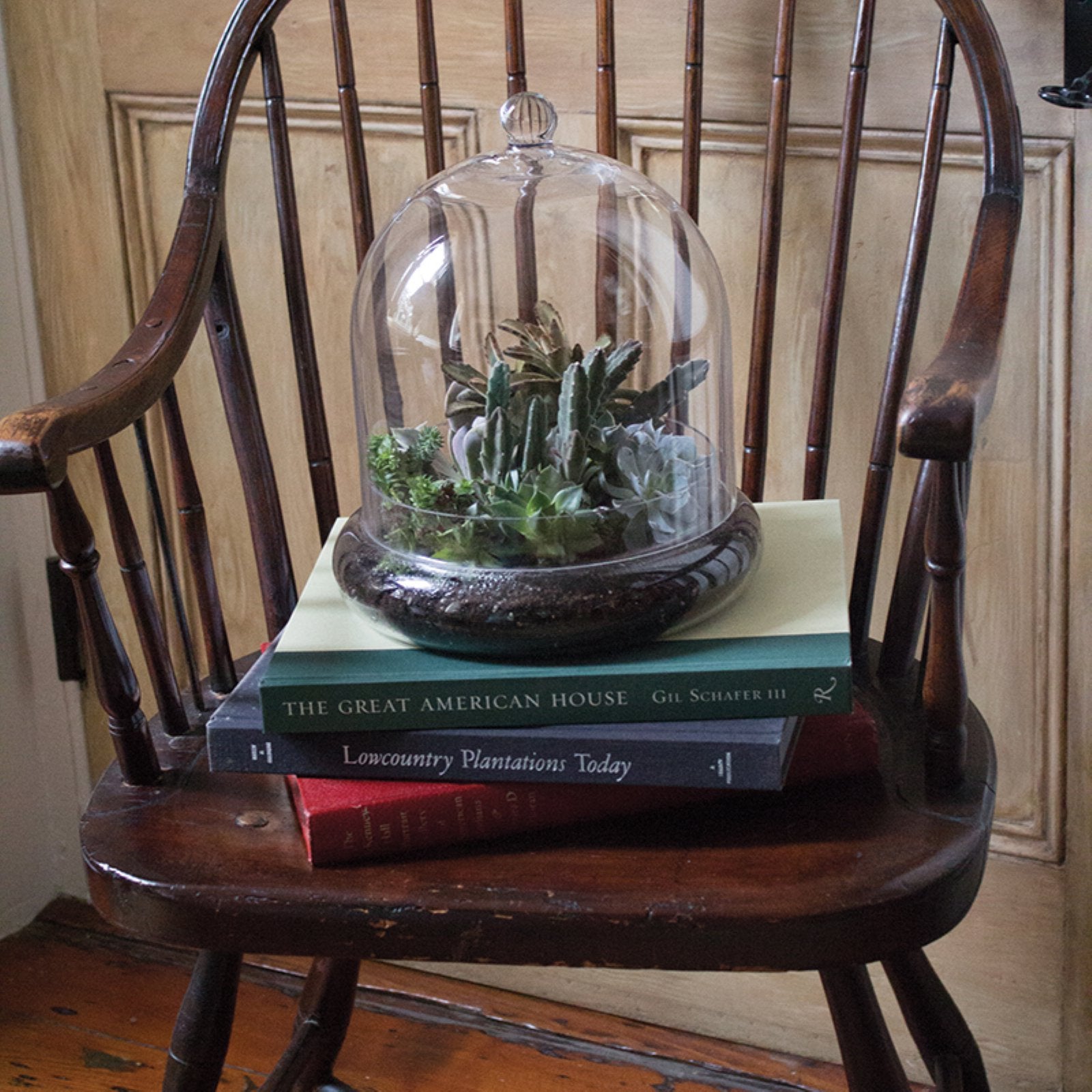 Syndicate Sales Inc 3776-04-09 7 X 8 Terrarium Cloche