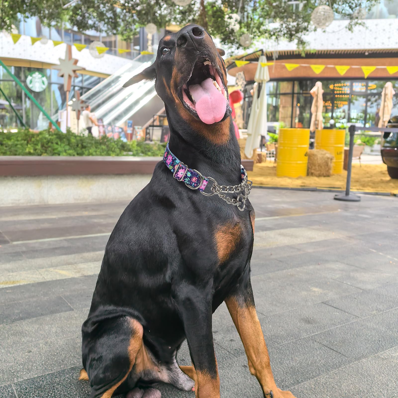Martingale Dog Collar With Chain, No Pull Slip Cinch Choker Choke Collar Bohemia Flowers Duty Dog Collar For Medium Large Extra