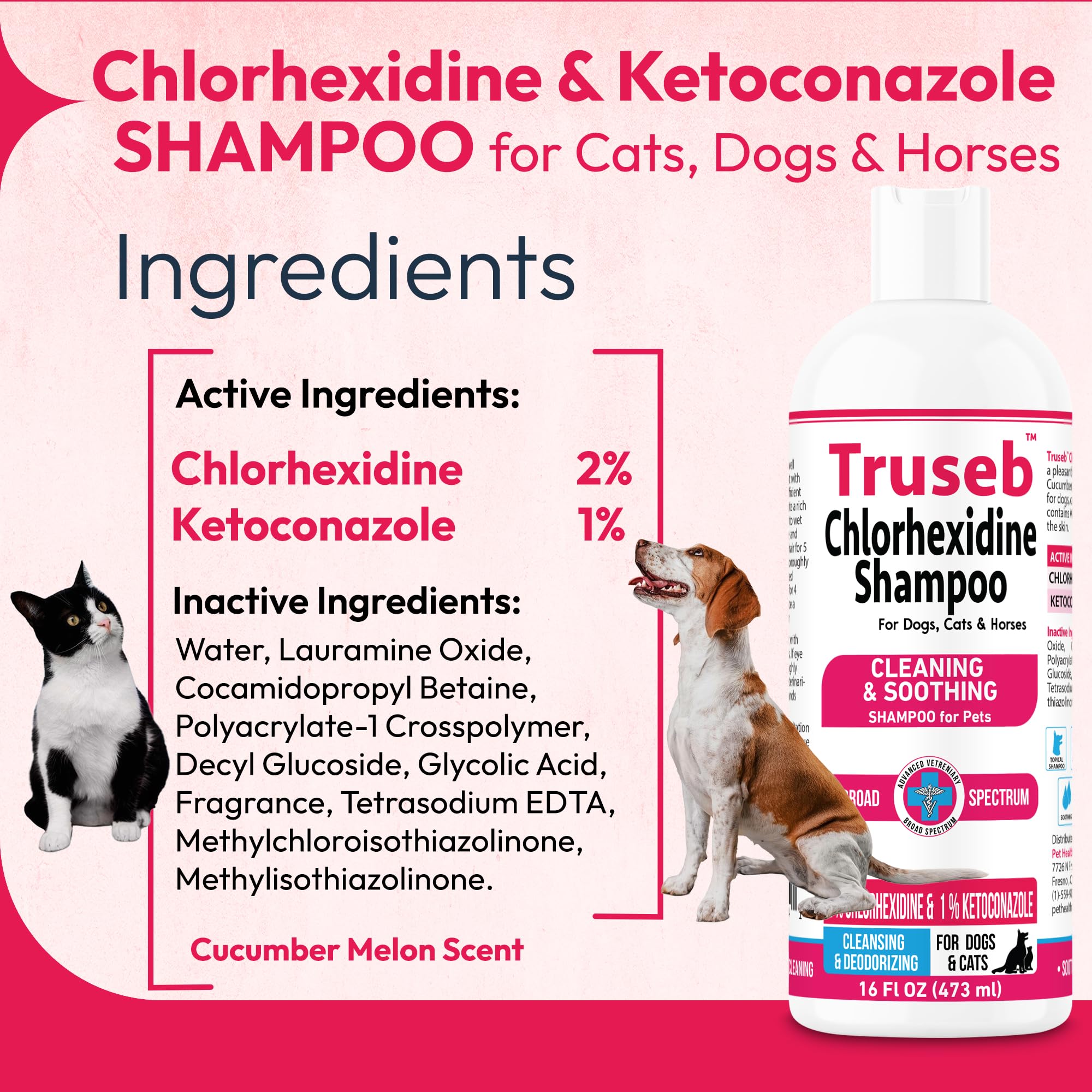 Truseb Topical Ketoconazole And Chlorhexidine Shampoo For Dogs, Cats, And Horses With Aloe - 16 Oz (Ketoconazole & Chlorhexidine
