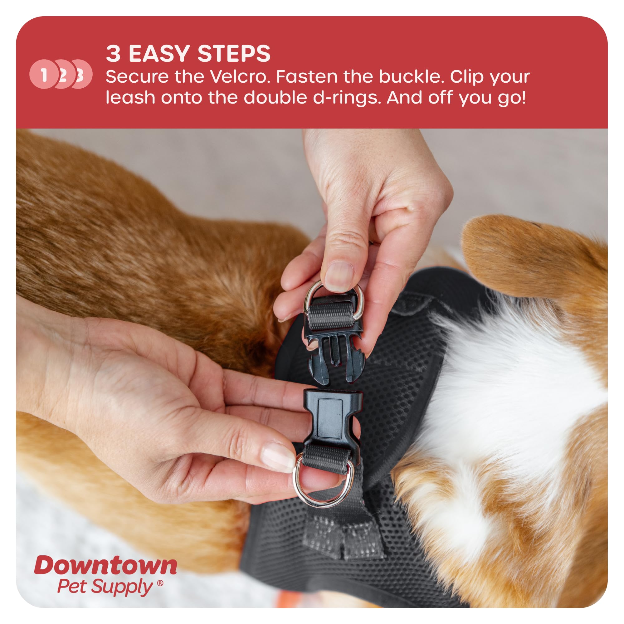 Downtown Pet Supply Step in Dog Harness for Small Dogs No Pull, XX-Small, Charcoal - Adjustable Harness with Padded Mesh Fabric