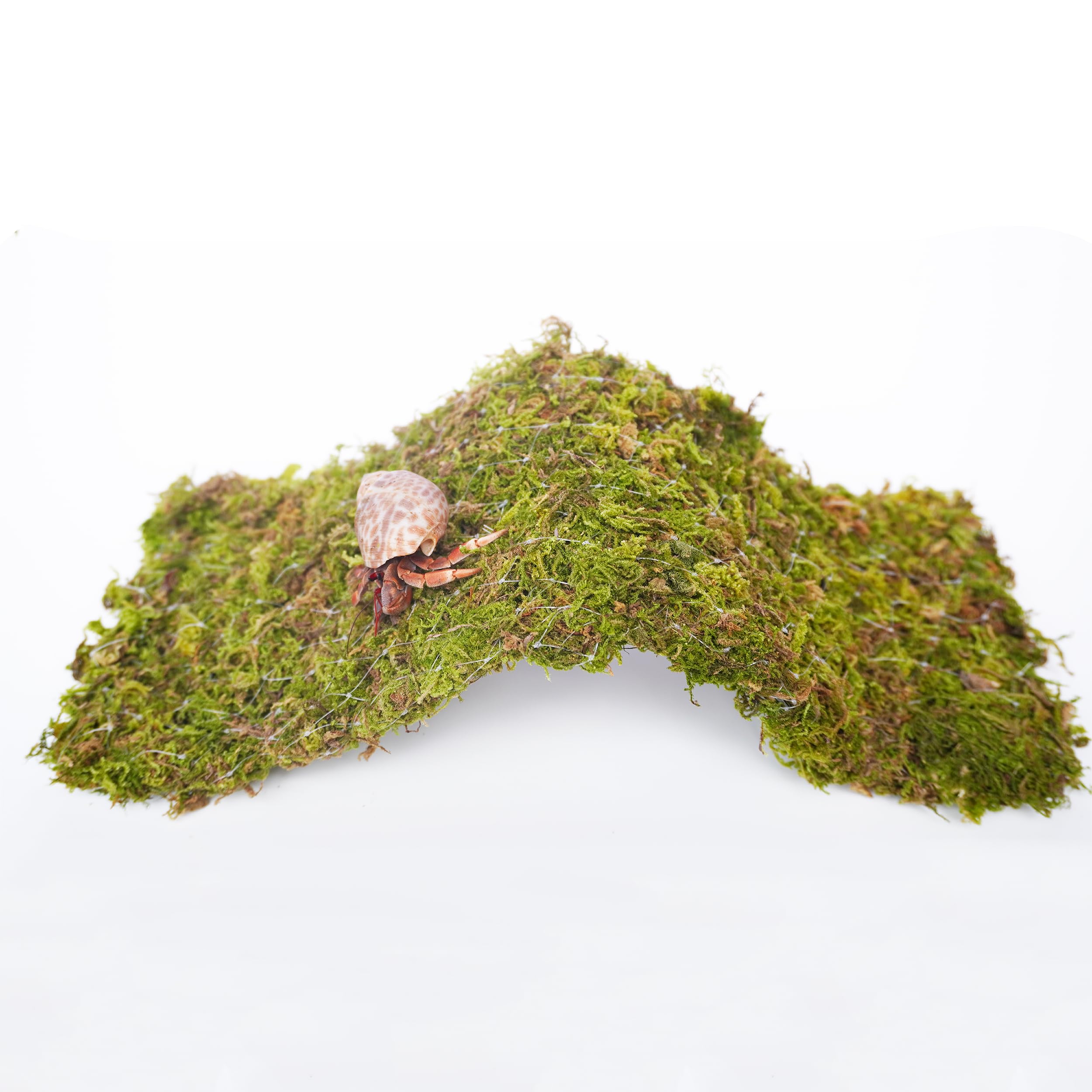 Begeterday Hermit Crab Climbing Toys, 13.5 Inch Bendable Climbing Bridge, Ideal Hermit Crab Supplies For 10 Gallon Hermit Crab T