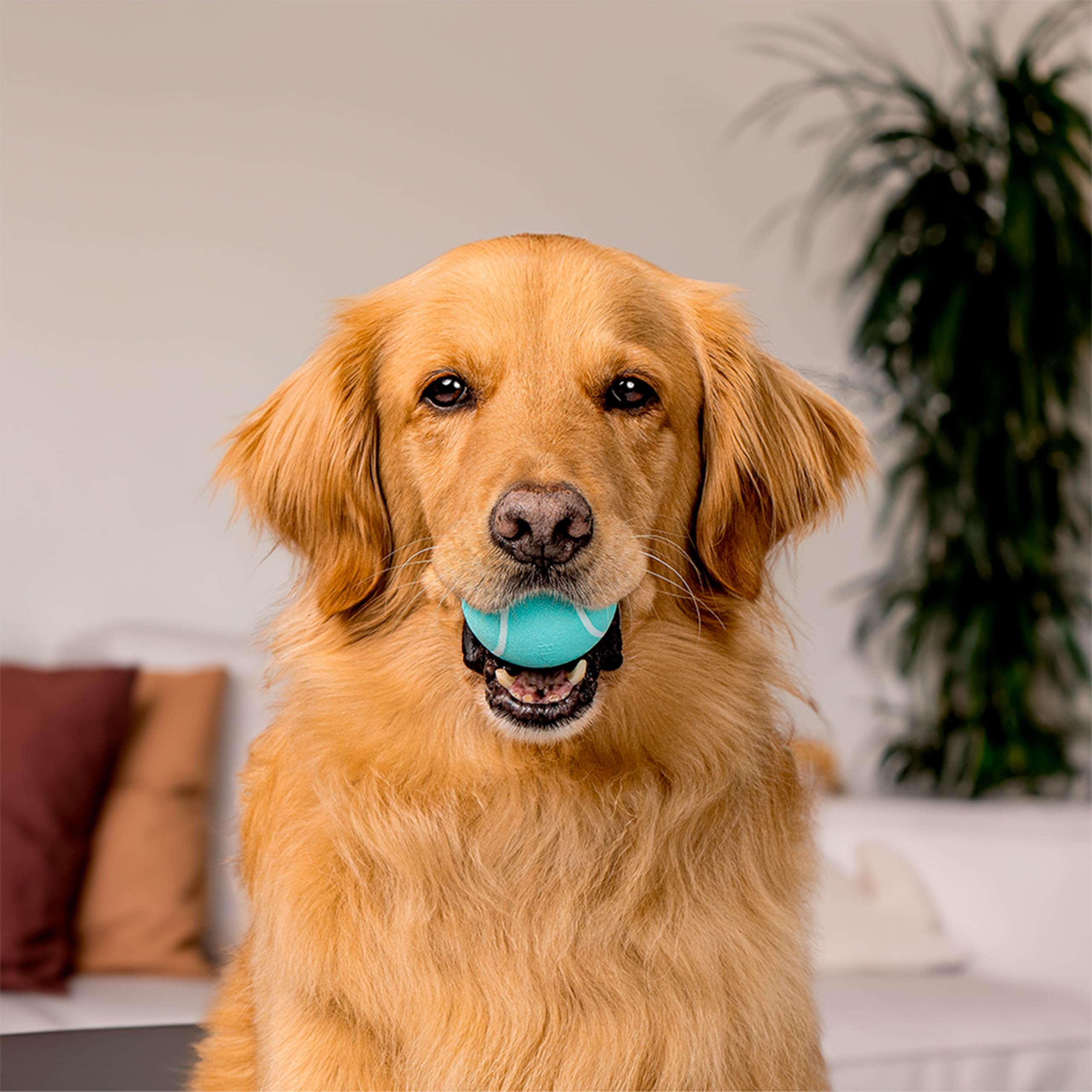 Playology Dog Balls for Medium and Large Dog Breeds (10lbs & Up) 2-Pack - Dog Ball for Aggressive Chewers - Squeaky Toy, Engagin