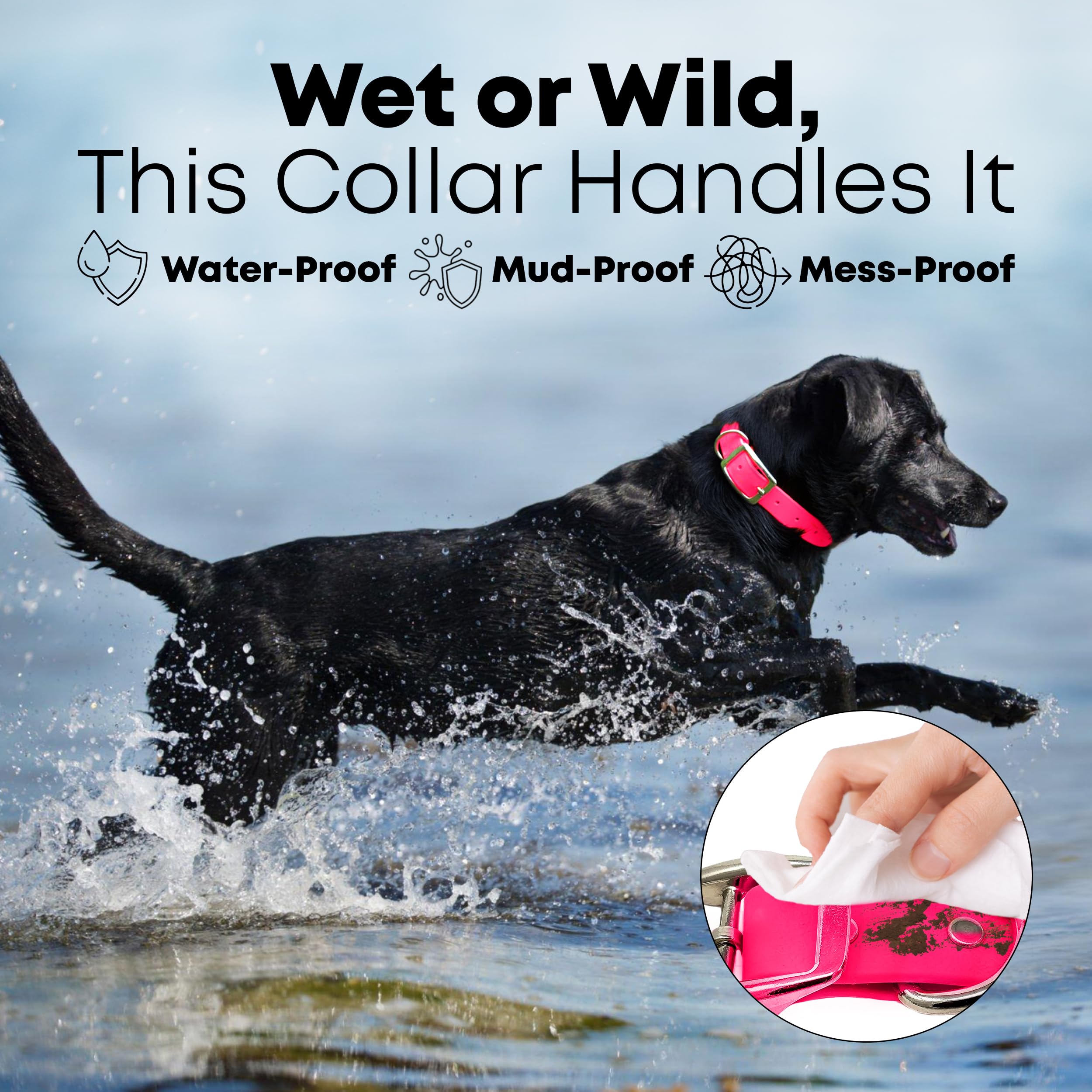 Regal Dog Products Large Pink Waterproof Dog Collar And Leash Set - Vinyl Coated Biothane Pet Training Collar With Heavy Duty Ce