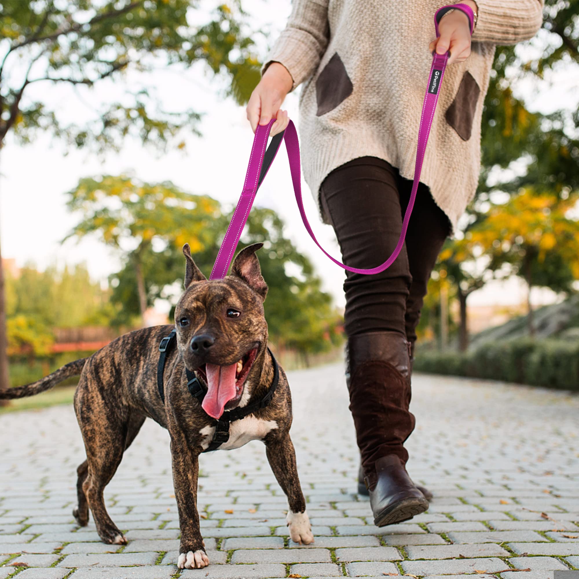 Petifine 5Ft Heavy Duty Dog Leash With Soft Padded Double Handle, Durable Strong Clasp Dog Leashes, Reflective Nylon Walking Lead For Large,Medium,Small Breed Dogs, Rose