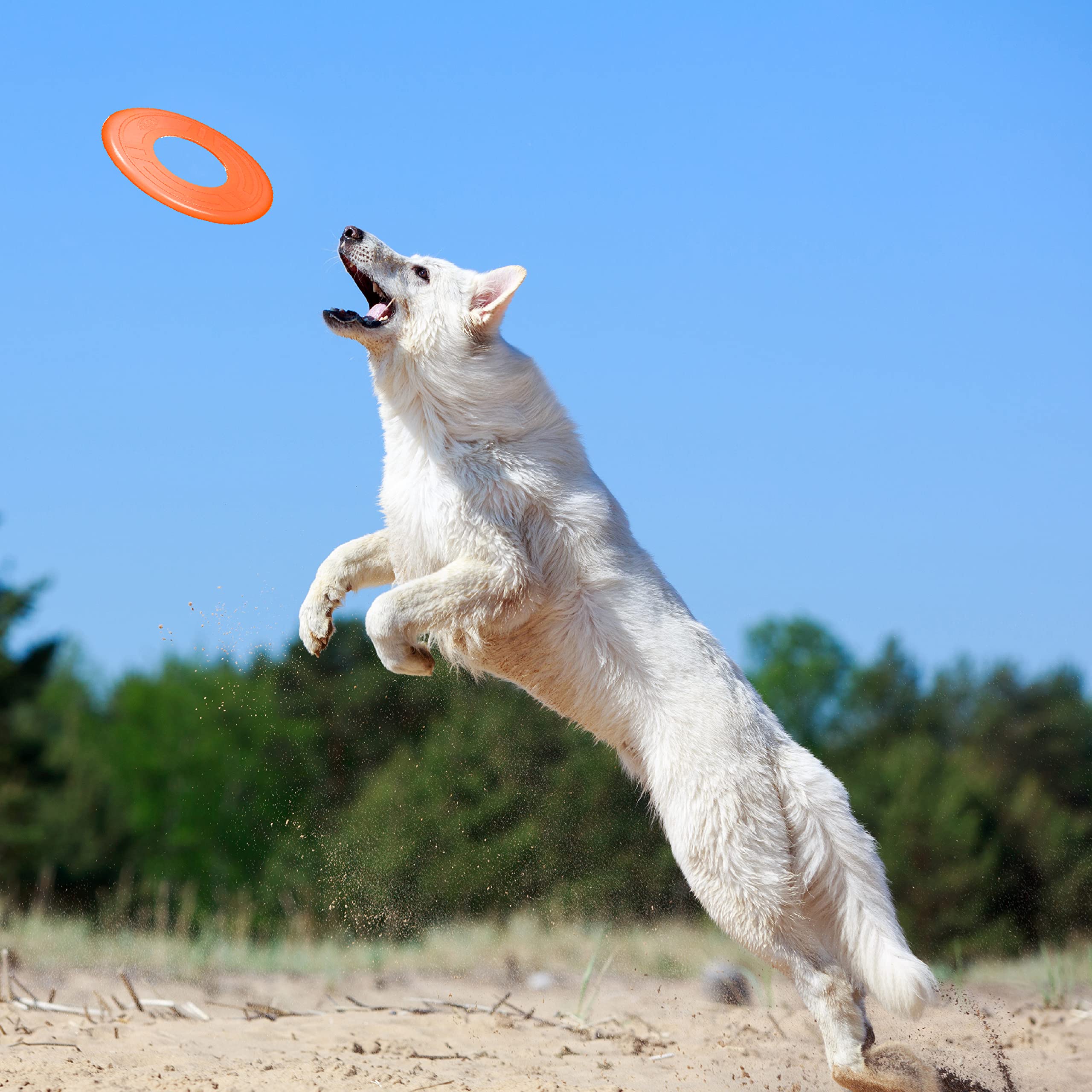 Nerf Dog 10in Atomic Flyer - Orange, One-Size-for-Most - Durable Dog Toy for Fetch and Play