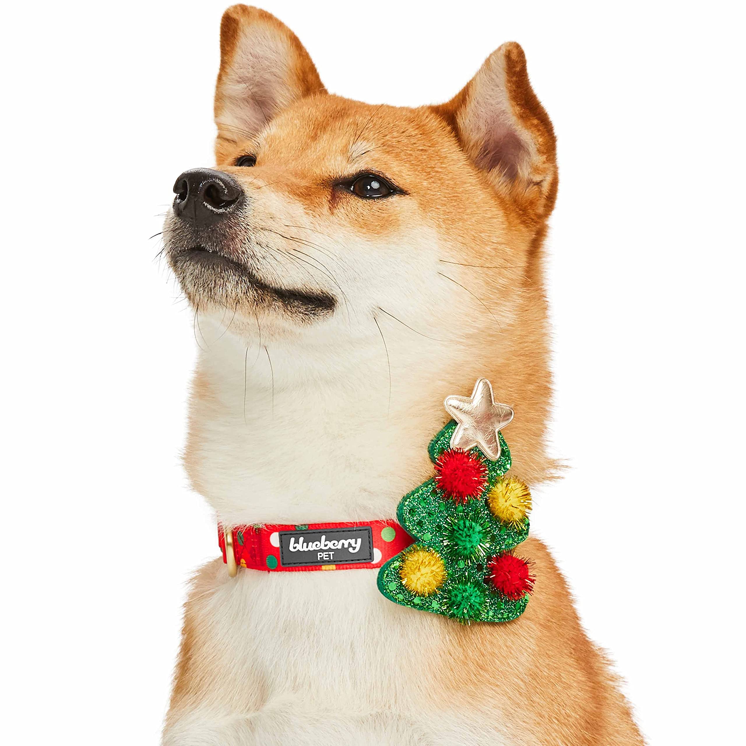 Blueberry Pet Christmas Dog Collar - Adjustable Holiday Dog Collars For Small Dogs With Polka Dots & Tree D  Cor, 12''-16'' Neck