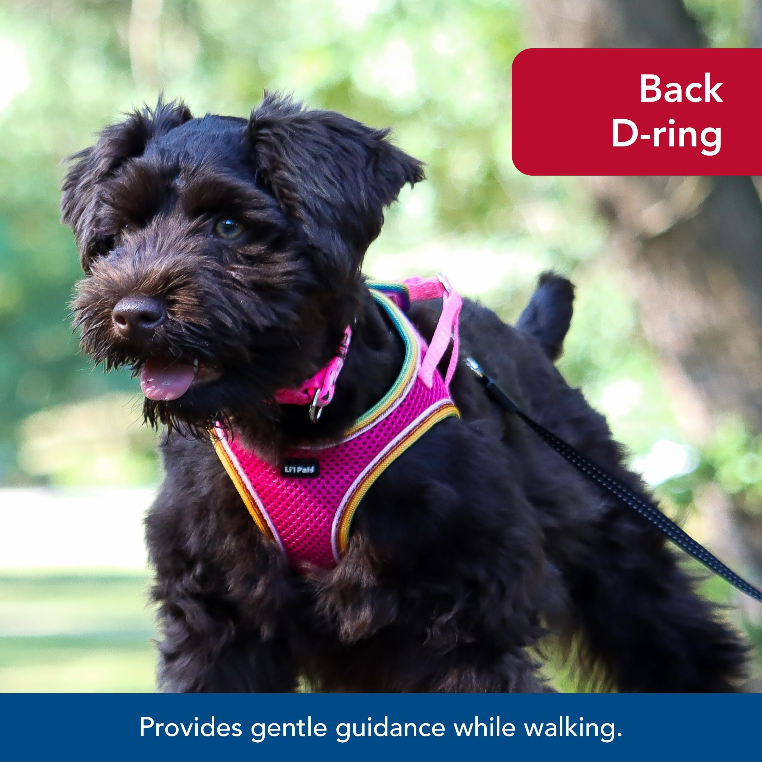 Coastal Pet Li'L Pals Comfort Mesh Dog Harness - No-Pull Step-In Dog Harness For Small Dogs & Puppies - Dog Cooling Vest - Black - 3/8' X 10'-12'