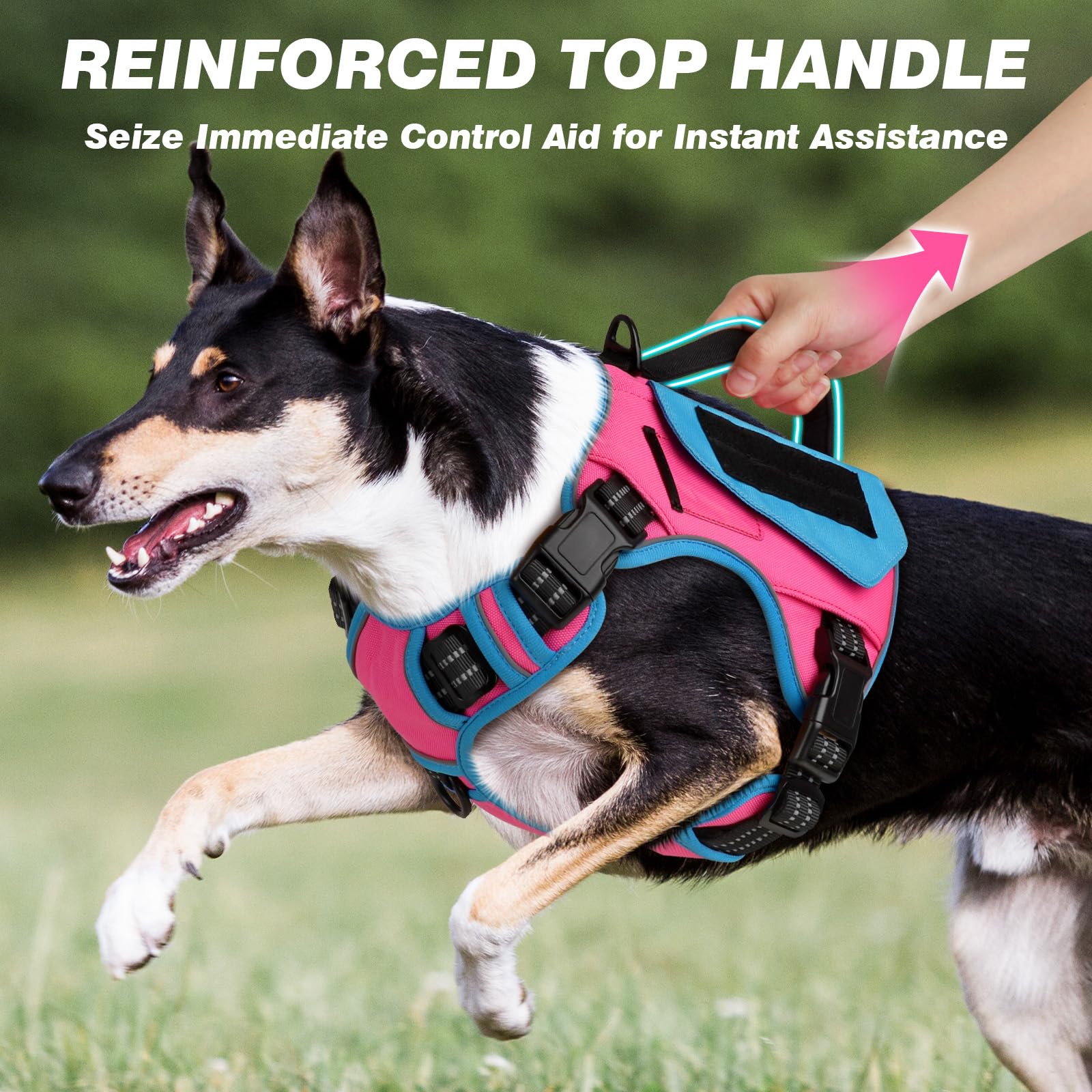 Wingoin Tactical Dog Harness For Small Dogs, No Pull Harness With Handle Pockets Poop Bag, Reflective Dog Vest, Military Service Heavy Duty Big Dog Harness For Walking Hiking Training, Pink Blue, S