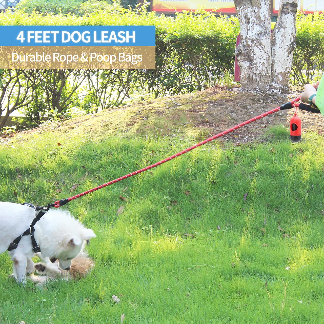 Baapet 2/4/5/6 Ft Dog Leash With Comfortable Padded Handle And Highly Reflective Threads For Small Medium And Large Dogs (4Ft-1/2'', Red)