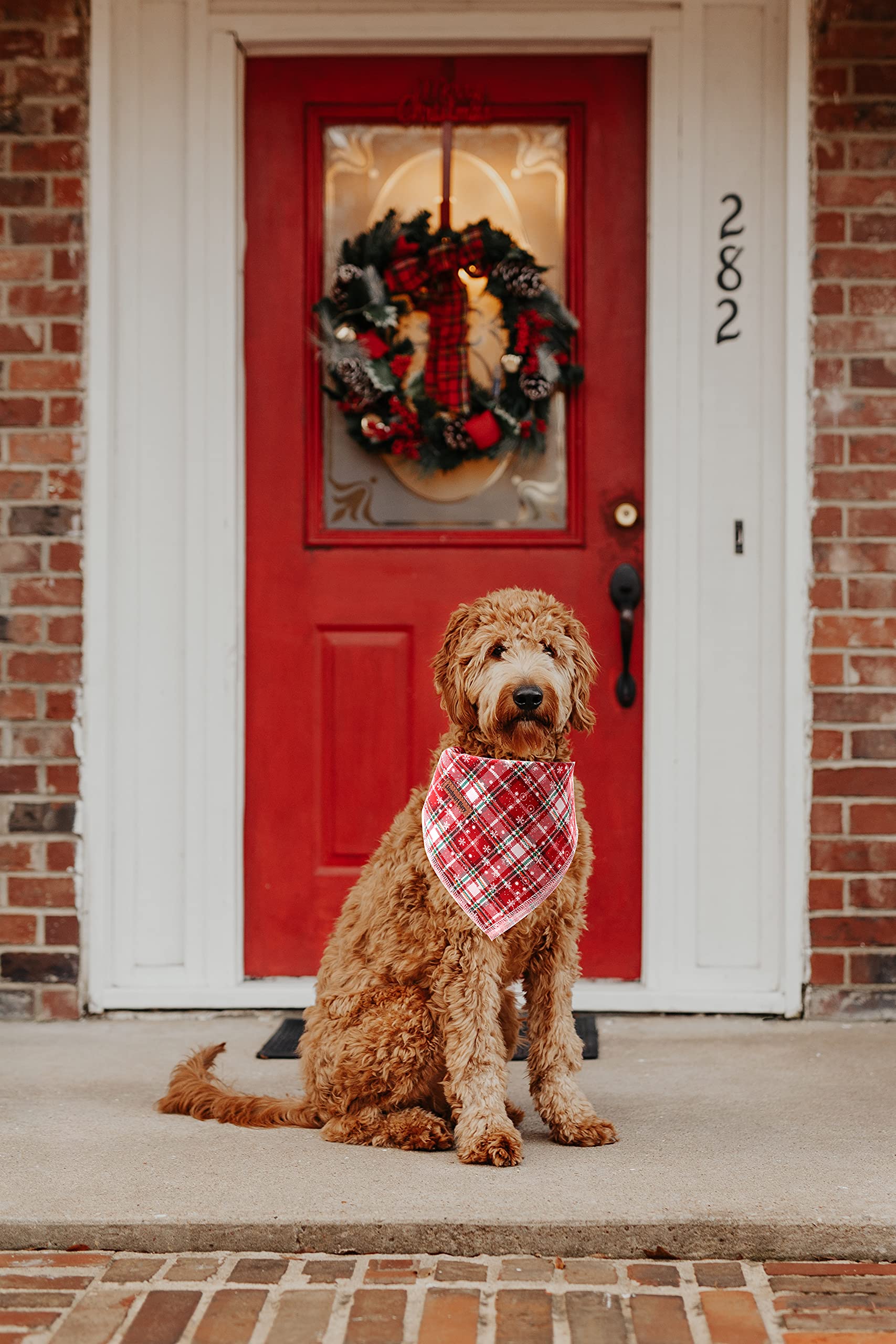 Lionheart Glory Dog Bandana 1 Pack Washable Soft Cotton Christmas Plaid Bibs Scarf, Adjustable Kerchief Square Dog Bandanas For