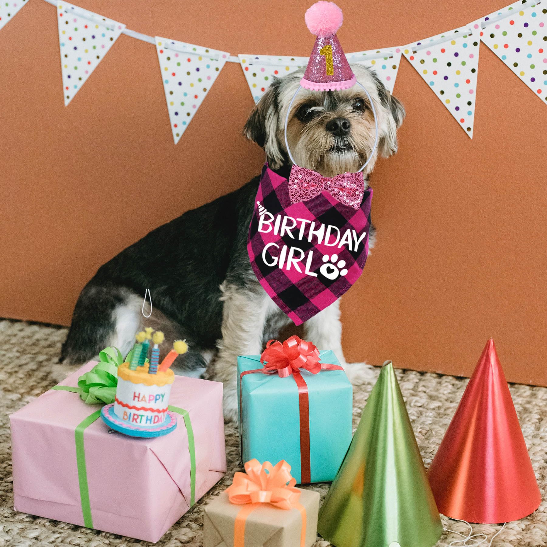 Stmk Dog Birthday Party Supplies, Multi Sizes Dog Birthday Hat With Numbers Bandana Bow Tie For Small Medium Dogs Pets Birthday