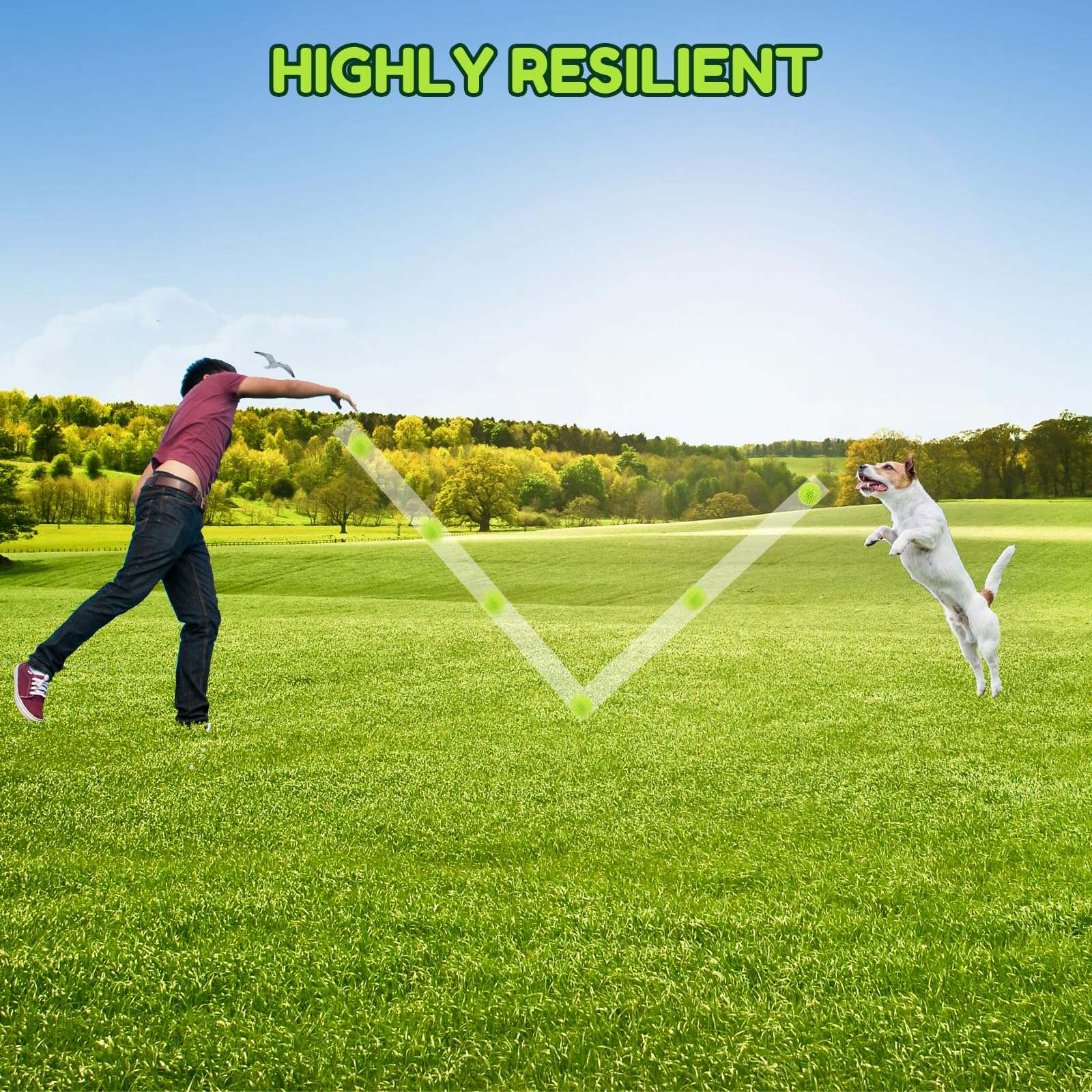 2.5'' Squeaky Dog Balls for Small Medium Dogs, 6 Pack Small Dog Chew Toys with Spike, Puppy Toys for Teeth Cleaning and Training