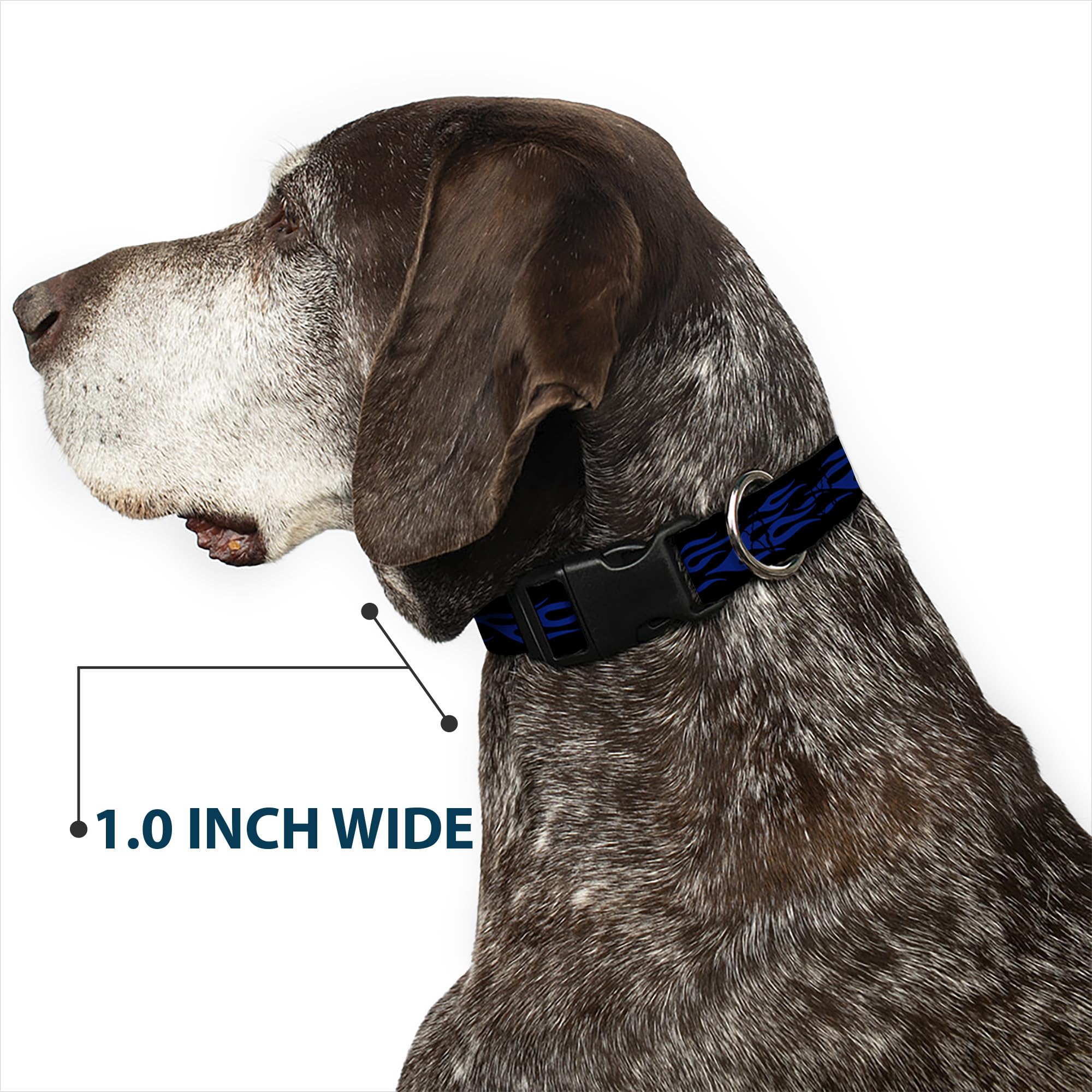 Buckle-Down Plastic Clip Collar - Flame Blue - 1.5 Wide - Fits 18-32 Neck - Large