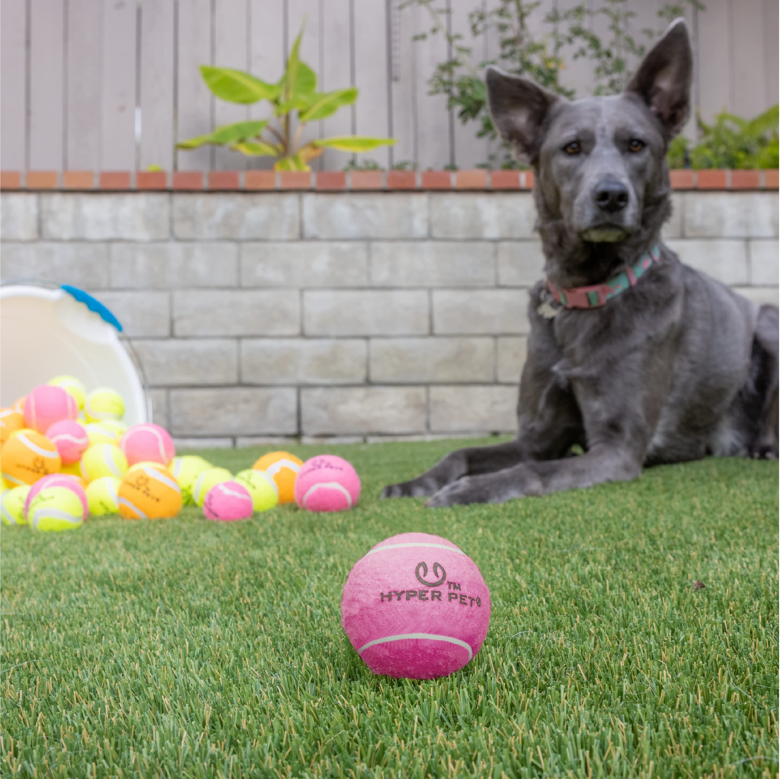 Hyper Pet Tennis Balls For Dogs (Pet Safe Dog Tennis Ball For Exercise And Training, Interactive Toys Work With Hyper Pet K9 Kannon K2 Launcher - 4 Pack 2.5' Pink
