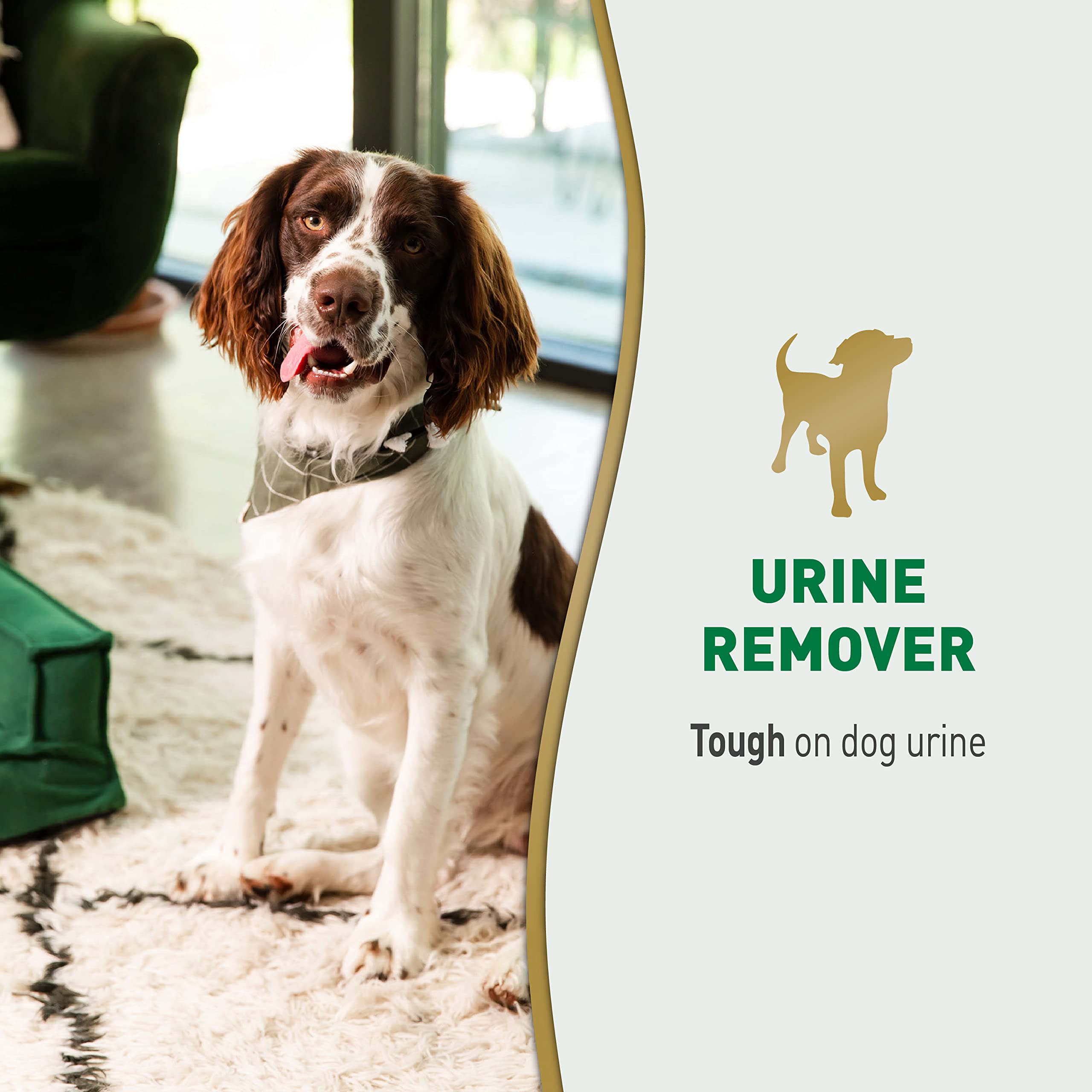 Nature's Miracle Dog Urine Remover, 24 Ounces, Enzymatic Formula