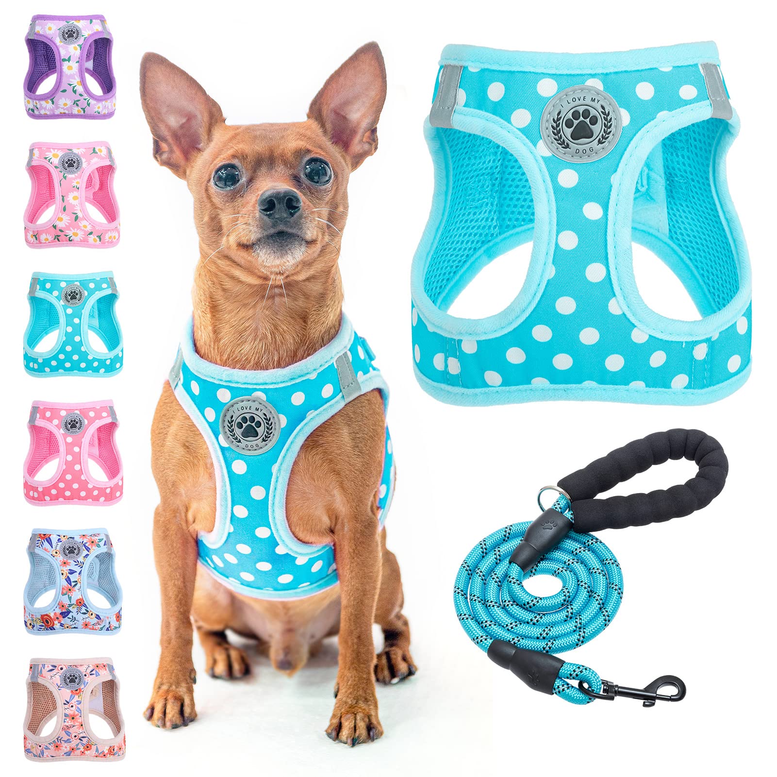 Beautyzoo Step In Dog Harness And Leash Set, Polka Dot Pattern Reflective Dog Harness No Pull No Choke Puppy Harness For Xxs Xs 