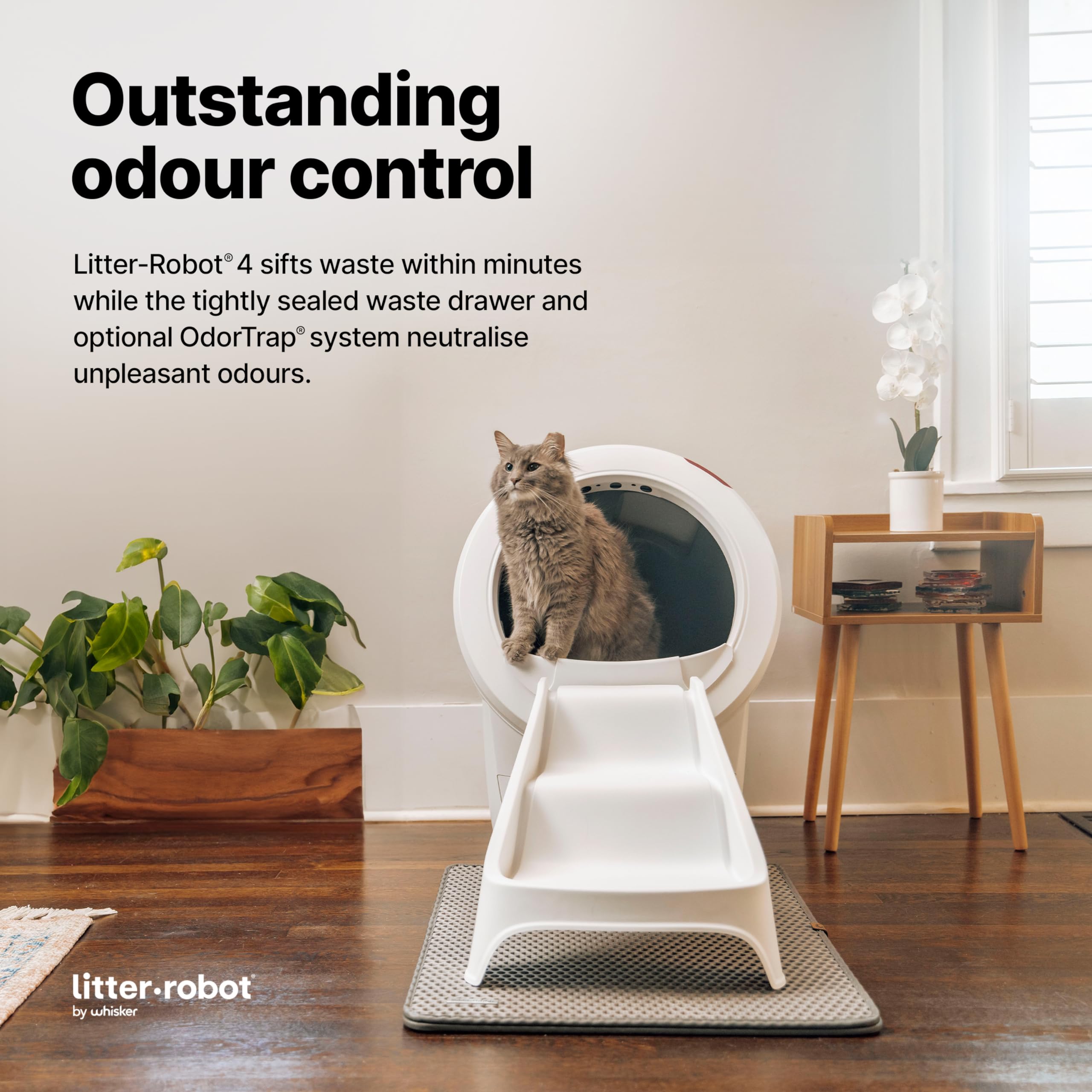 Litter-Robot 4 Ramp by Whisker, White - Cat Ramp for Box, Custom Fit, Non-Slip Rubber Feet, Suitable for Small & Elderly Cats, M