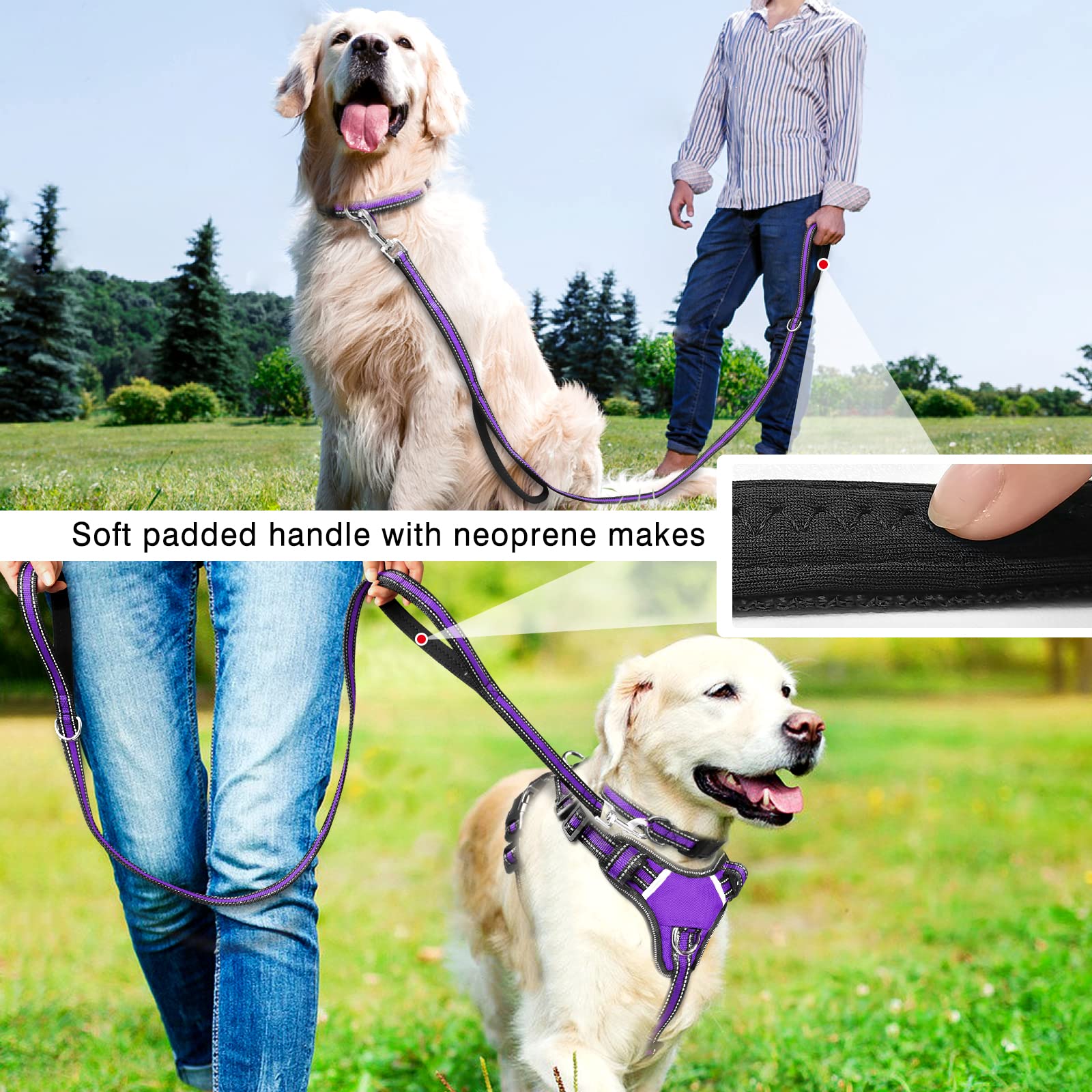 Winsee Pet Harness Collar And Leash Set, All-In-One Reflective Dog Harness No Pull With Adjustable Buckles For Puppies, Small, Medium, Large, And Extra-Large Dogs (Large, Rosy)