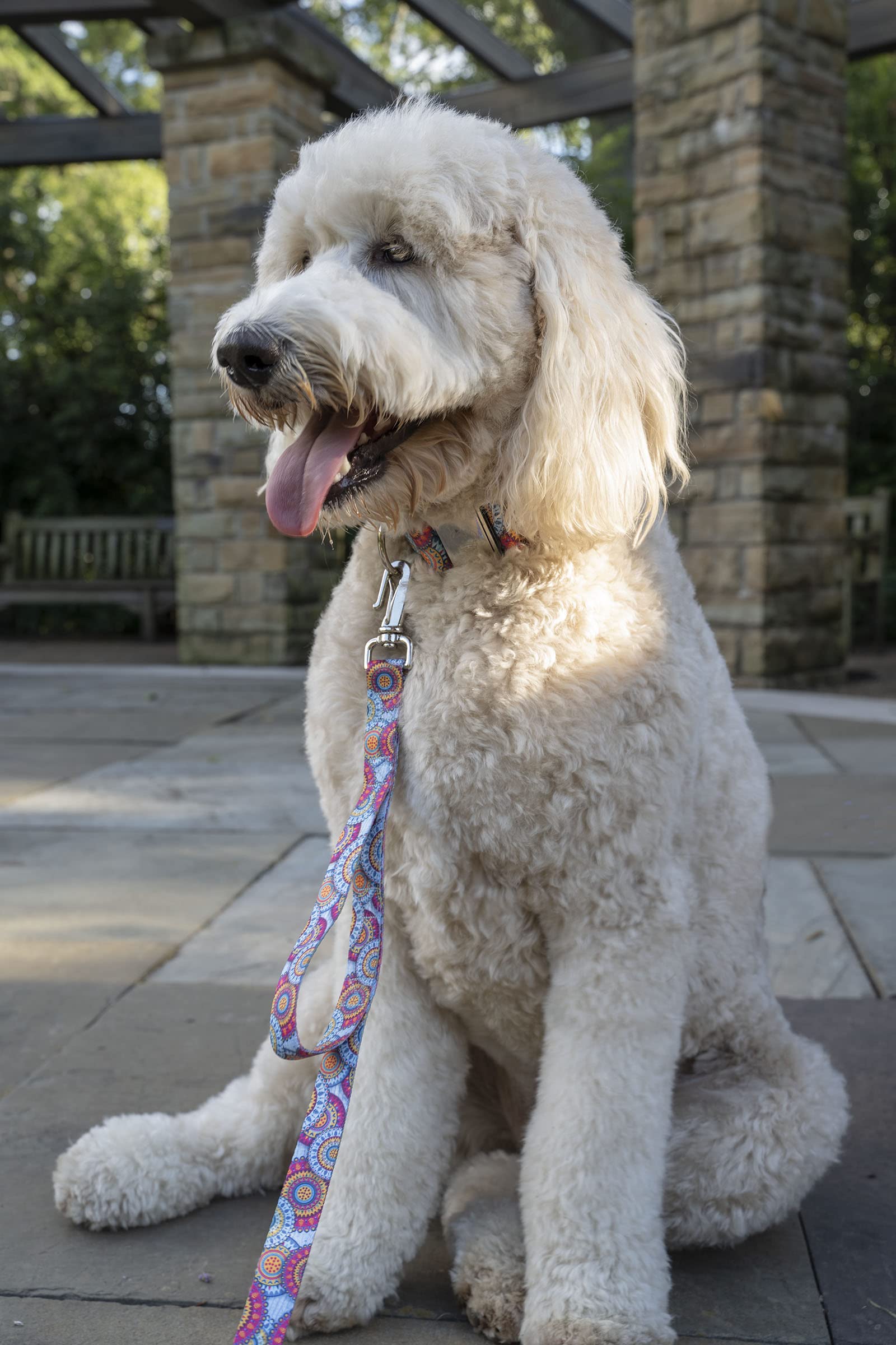 Country Brook Petz - Premium Sky Mandala Dog Collar And Leash - Groovy Collection Featuring Far Out Designs (1 Inch, Extra Large