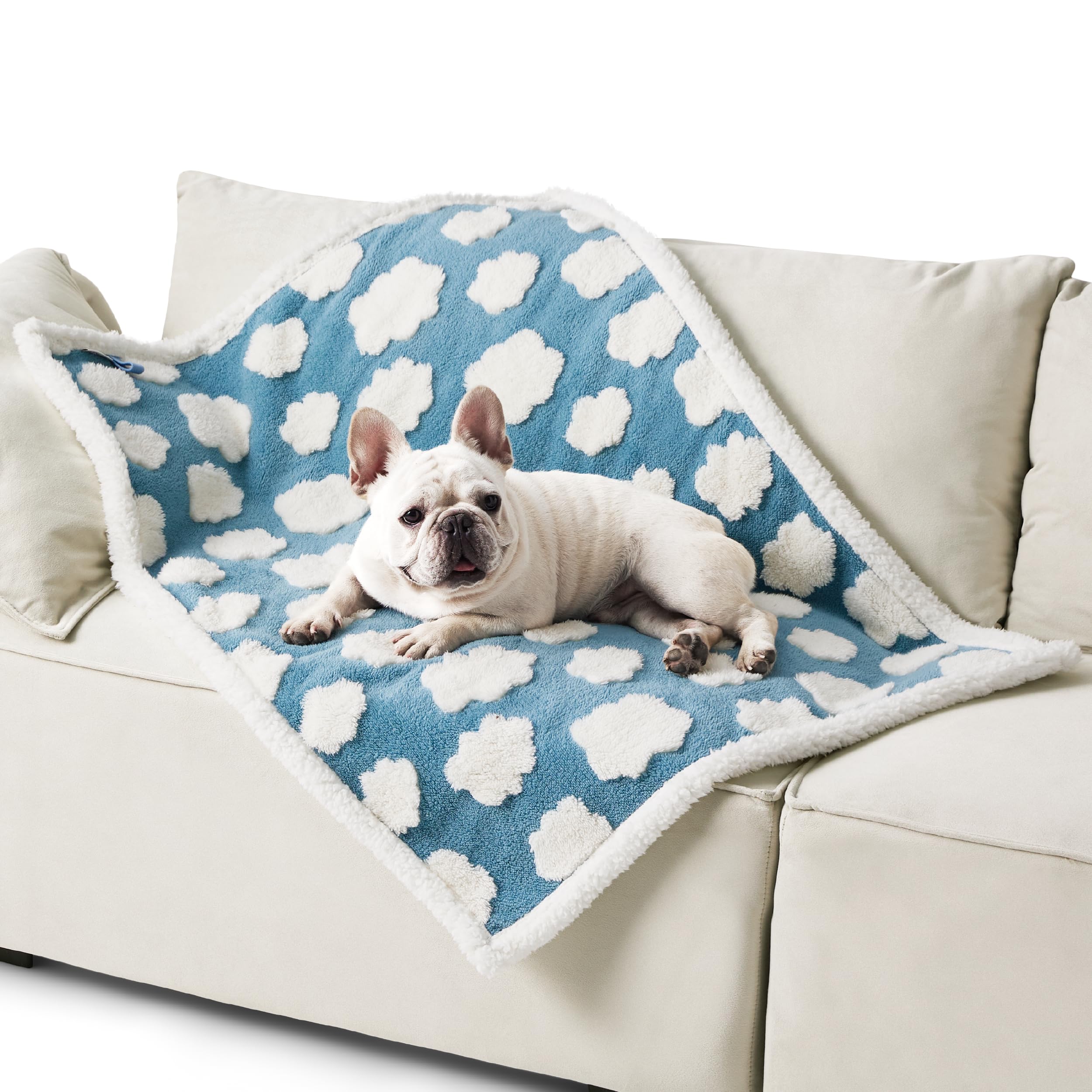 Lesure Waterproof Dog Blanket For Medium Dogs - Washable Double Sided Dog Blankets With Warm Jacquard Shag And Soft Sherpa Fleece, Pet Cat Blanket For Couch Protection, 3D Textured Cloud, Blue