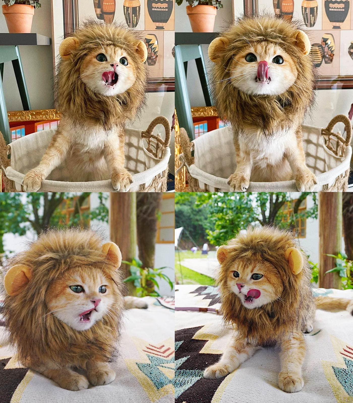 Rosylife Lion Mane Wig For Cat Costume Pet Adjustable Washable Comfortable Fancy Lion Hair Cat Clothes Dress For Halloween Christmas Easter Festival Party Activity (Medium, Black)