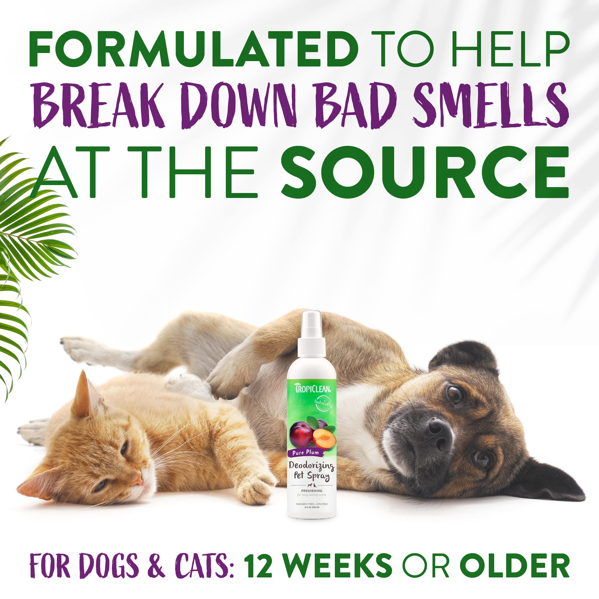 Tropiclean Dog Perfume, Long Lasting Plum Cologne, Deodorizing Spray For Smelly Dogs, After Bath Detangling Spray With Vitamin E