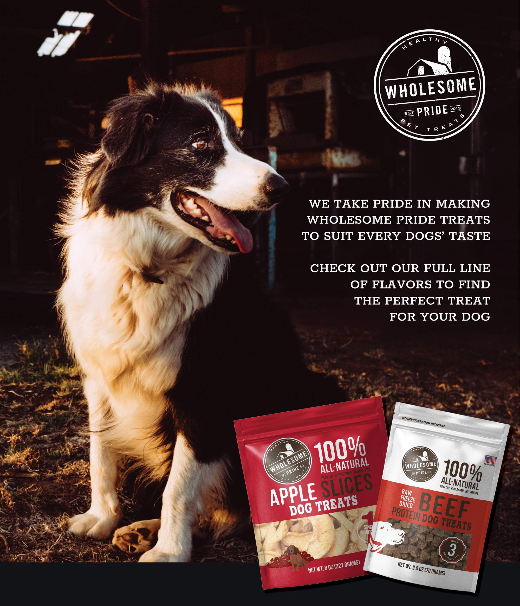 Wholesome Pride Sweet Potato Bites Dog Treats, 100% All-Natural, 16 oz, USA-Sourced, Orange