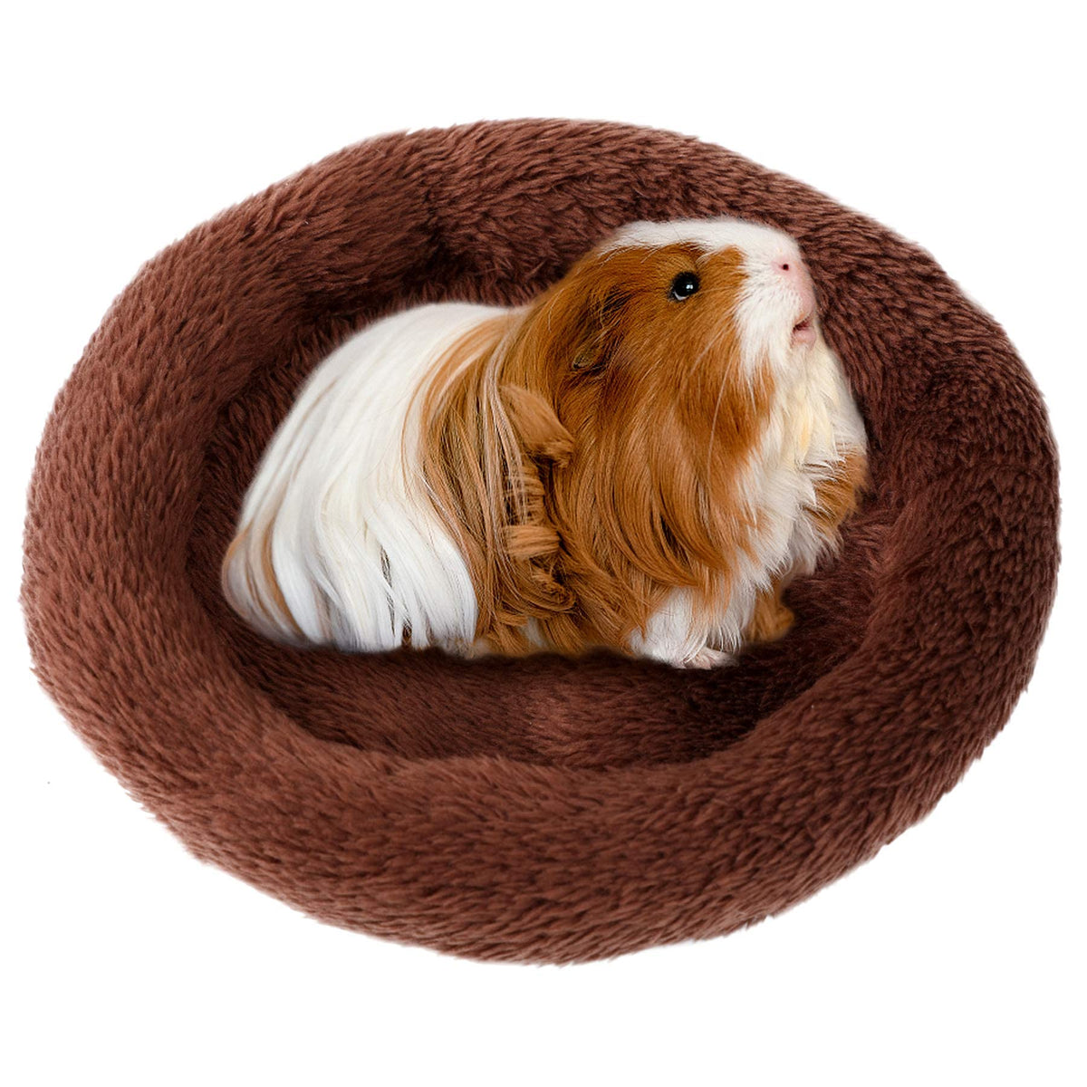 Febsnow Guinea Pig Beds, Hamster Bed Hedgehog Bed For Hamster/Hedgehog/Squirrel/Tortoise/Lizard And Other Small Animal (Coffee)