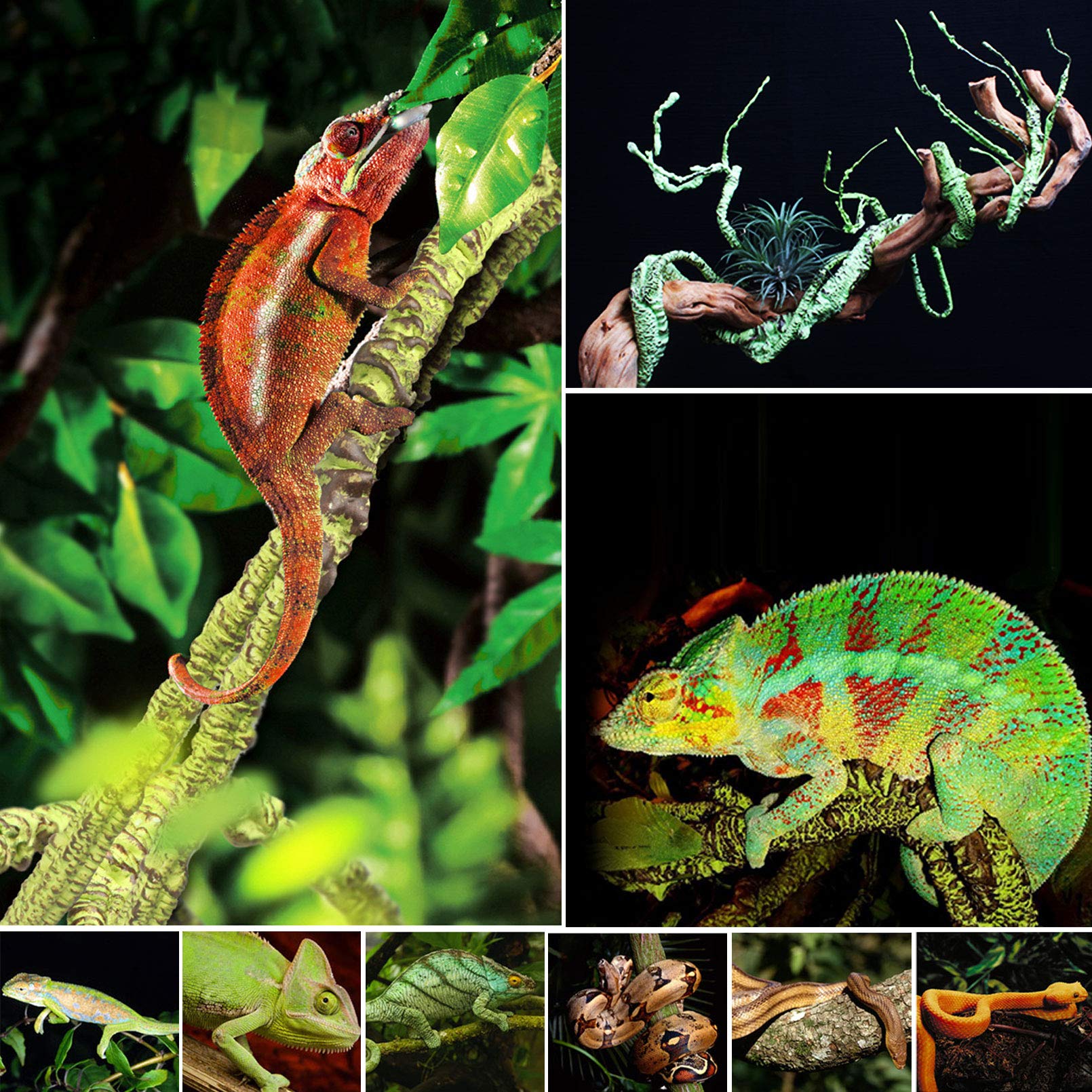 Kathson 3 Pcs Reptile Vines Plants Flexible Bendable Jungle Climbing Vine Terrarium Plastic Plant Leaves Pet Tank Habitat Decor For Bearded Dragons Lizards Geckos Snakes Frogs And More Reptiles