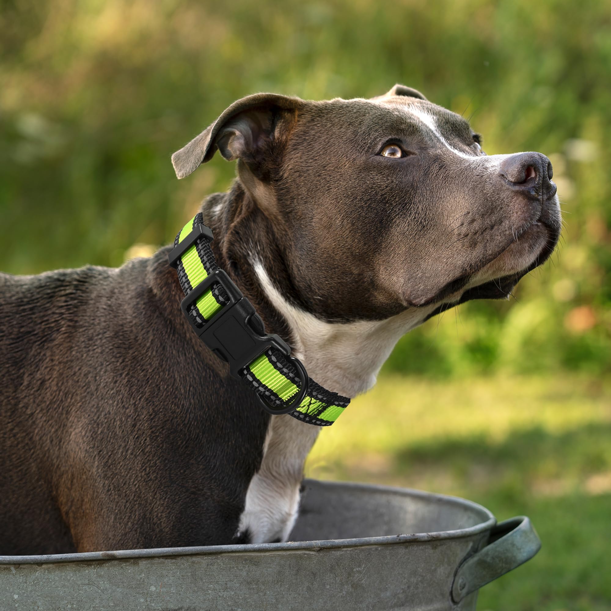 Mile High Life Dog Collar | Nylon Reflective Dog Collars | Light Weight Puppy Collars | Lime Green Dog Collars For Large Dogs (L