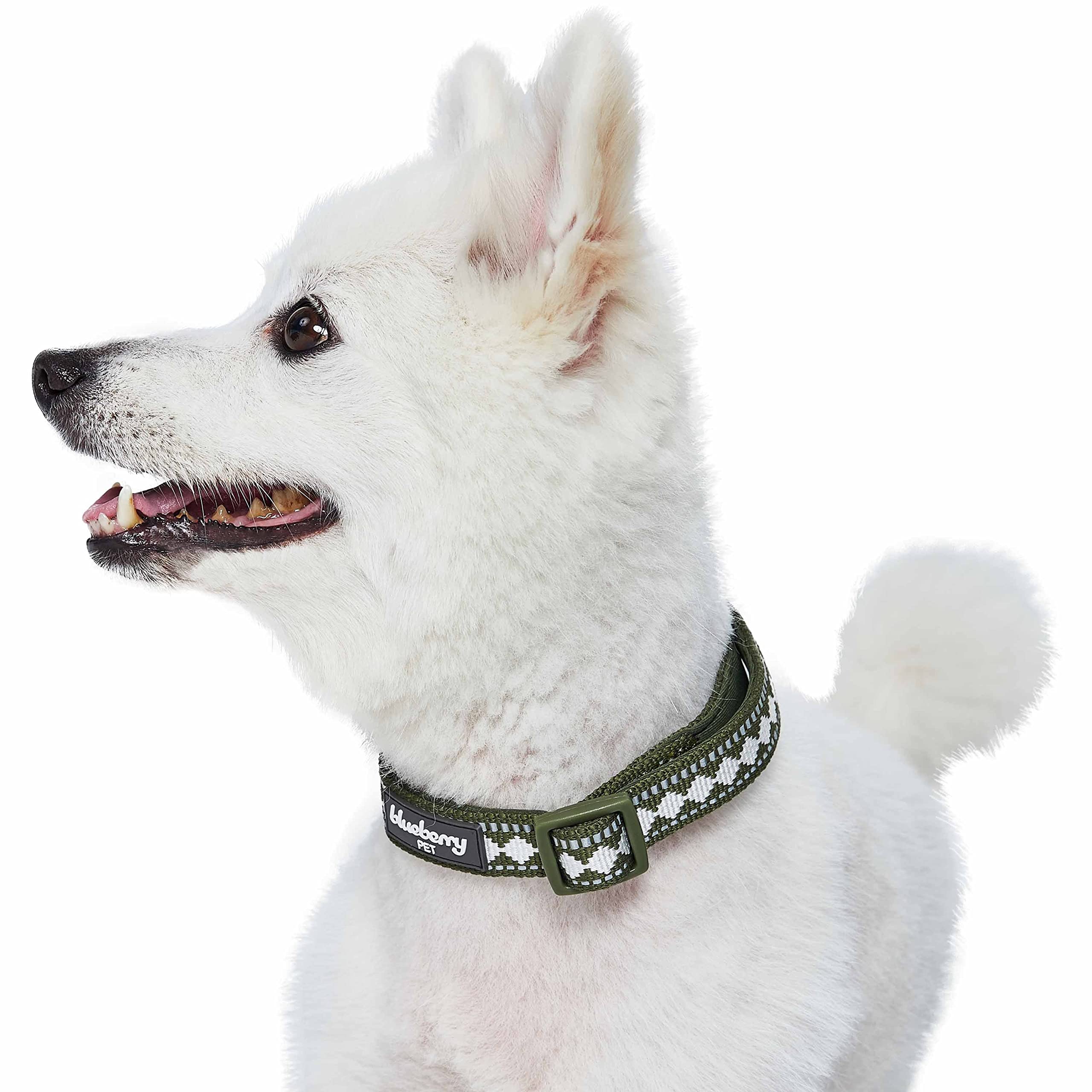 Blueberry Pet 3 Colors 3M Reflective Jacquard Neoprene Padded Adjustable Dog Collar, Olive, Large, Neck 18''-26''