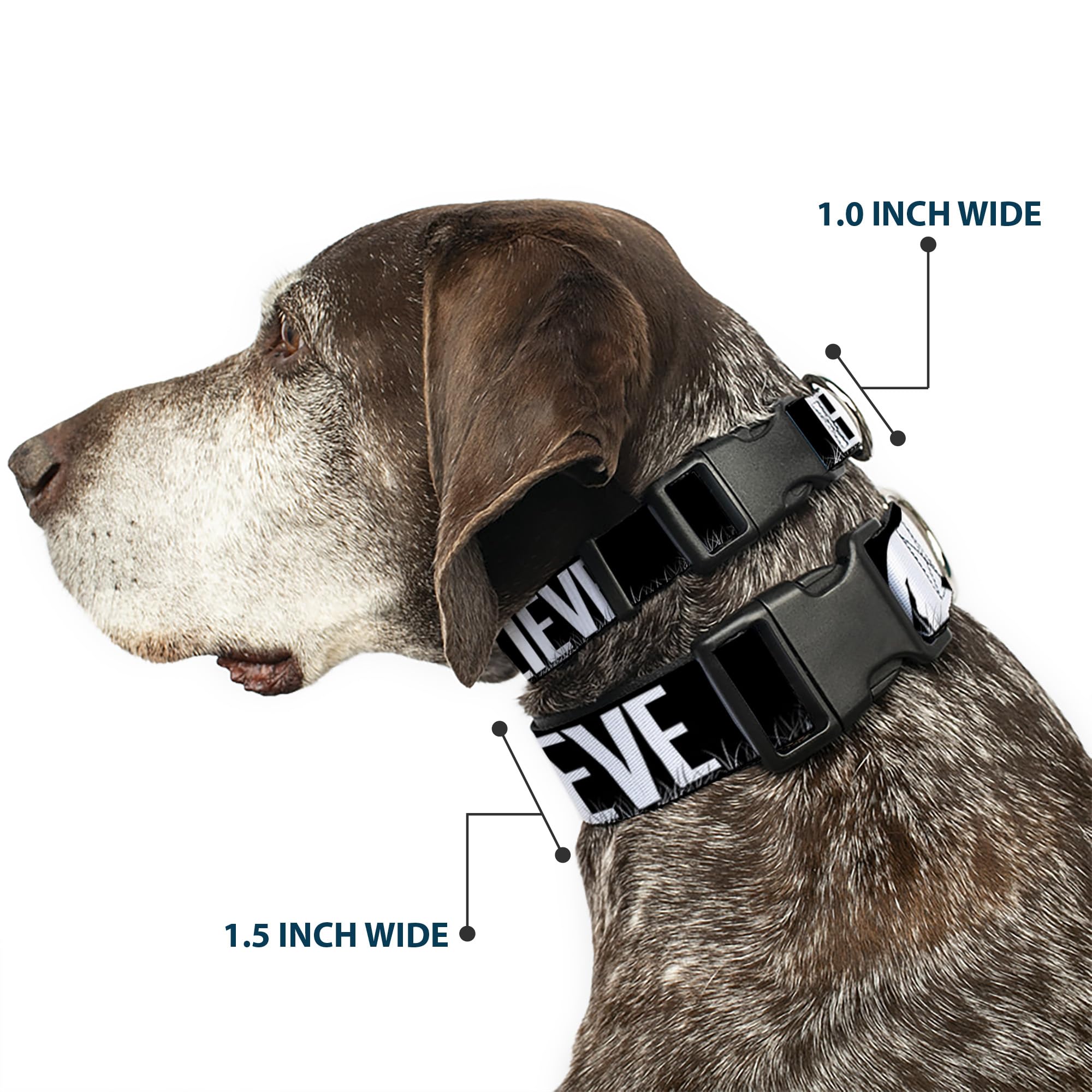 Buckle-Down 15-26'' Bigfoot Silhouette I Believe Black/Gray/White Plastic Clip Collar, Large