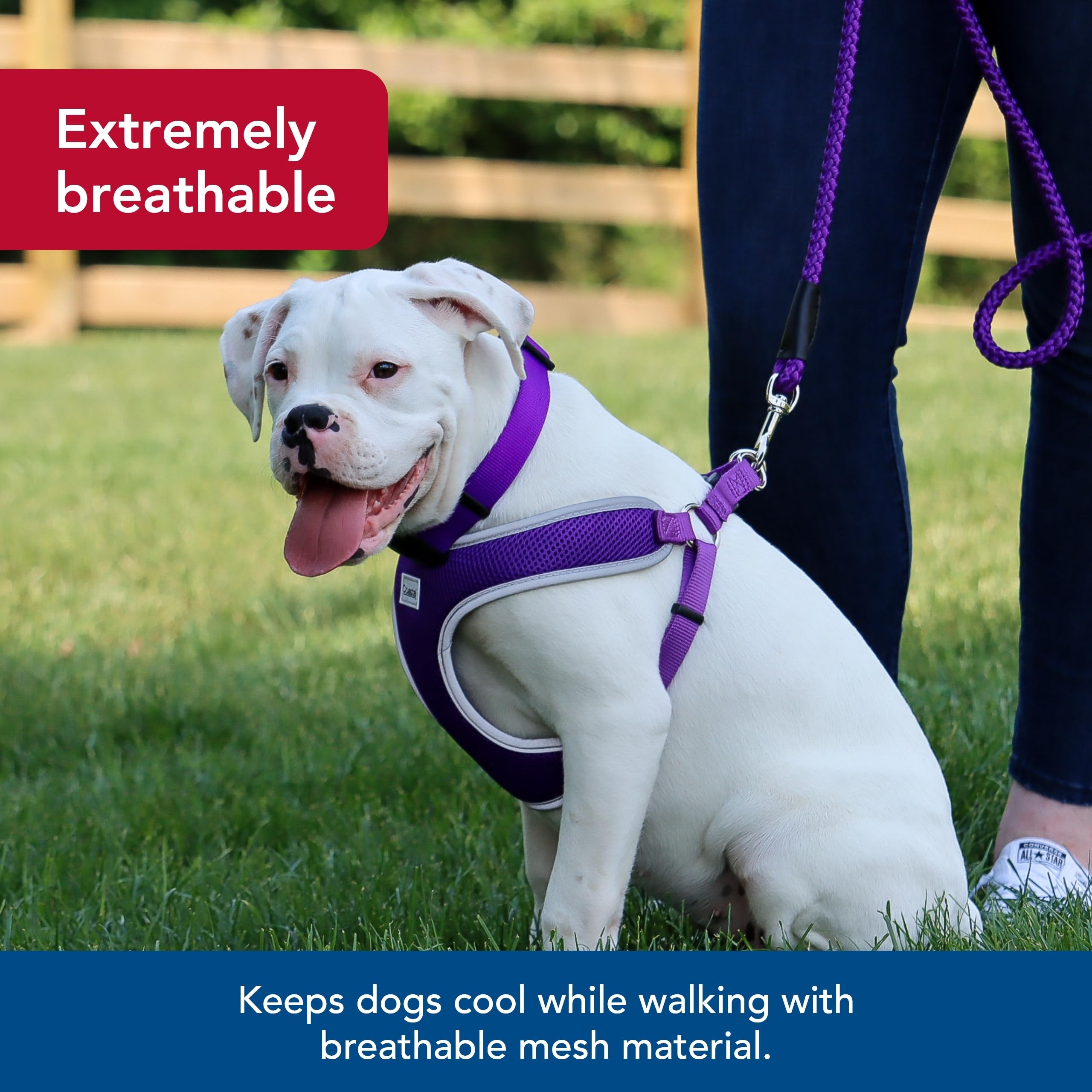 Coastal Pet Comfort Soft Reflective Wrap Adjustable Dog Harness - No-Pull Dog Harness For Small & Large Dogs - Purple - 3/4' X 20'–29'