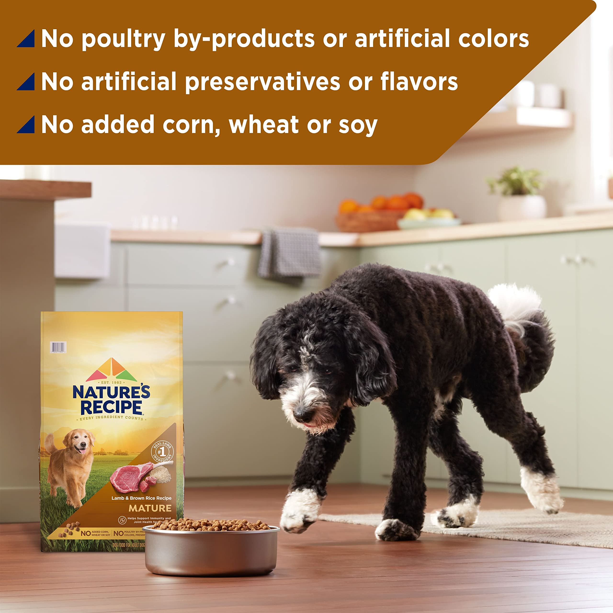 Natures Recipe Mature Lamb & Brown Rice Recipe Dry Dog Food, 4 lb. Bag