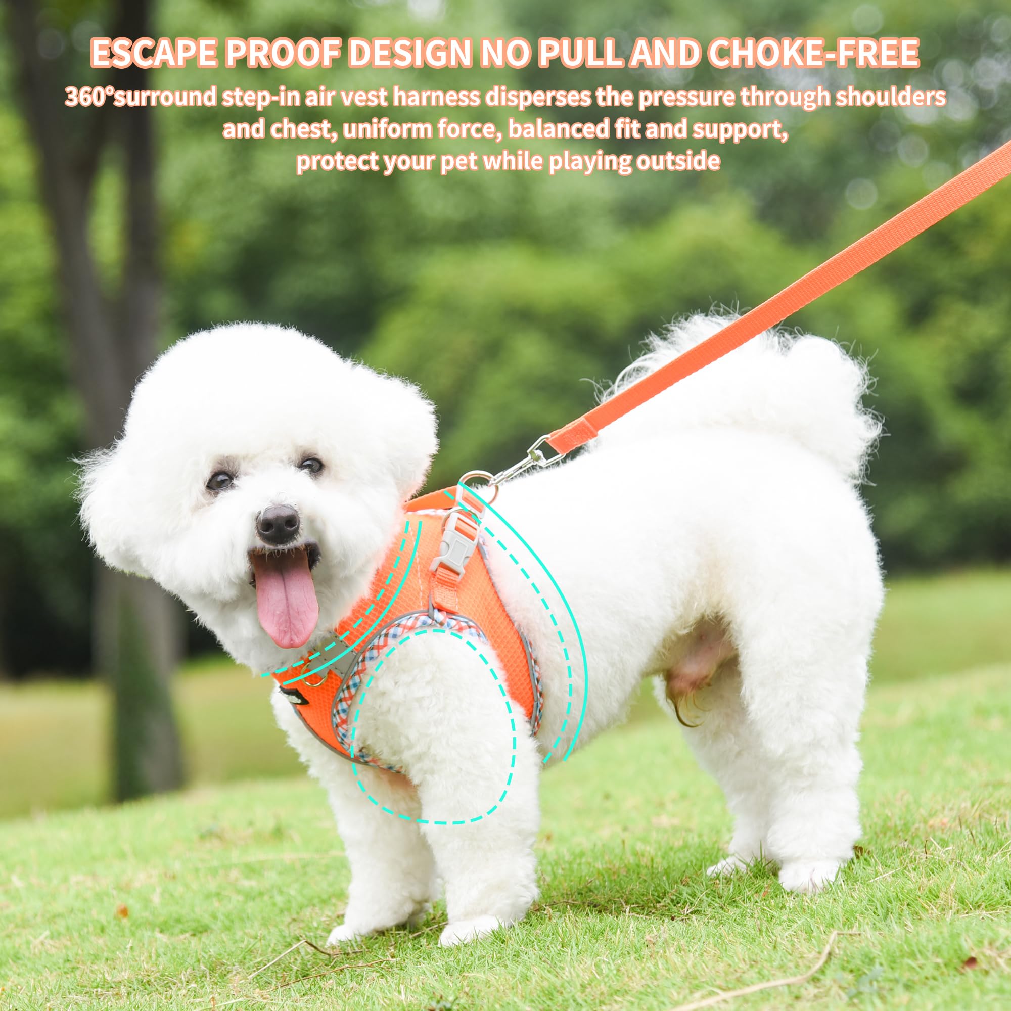 Aiitle Xxs Dog Harness & Leash Set - Breathable Reflective No-Choke Small Dog Harness For Teacup Puppies, Indoor/Outdoor Use - B