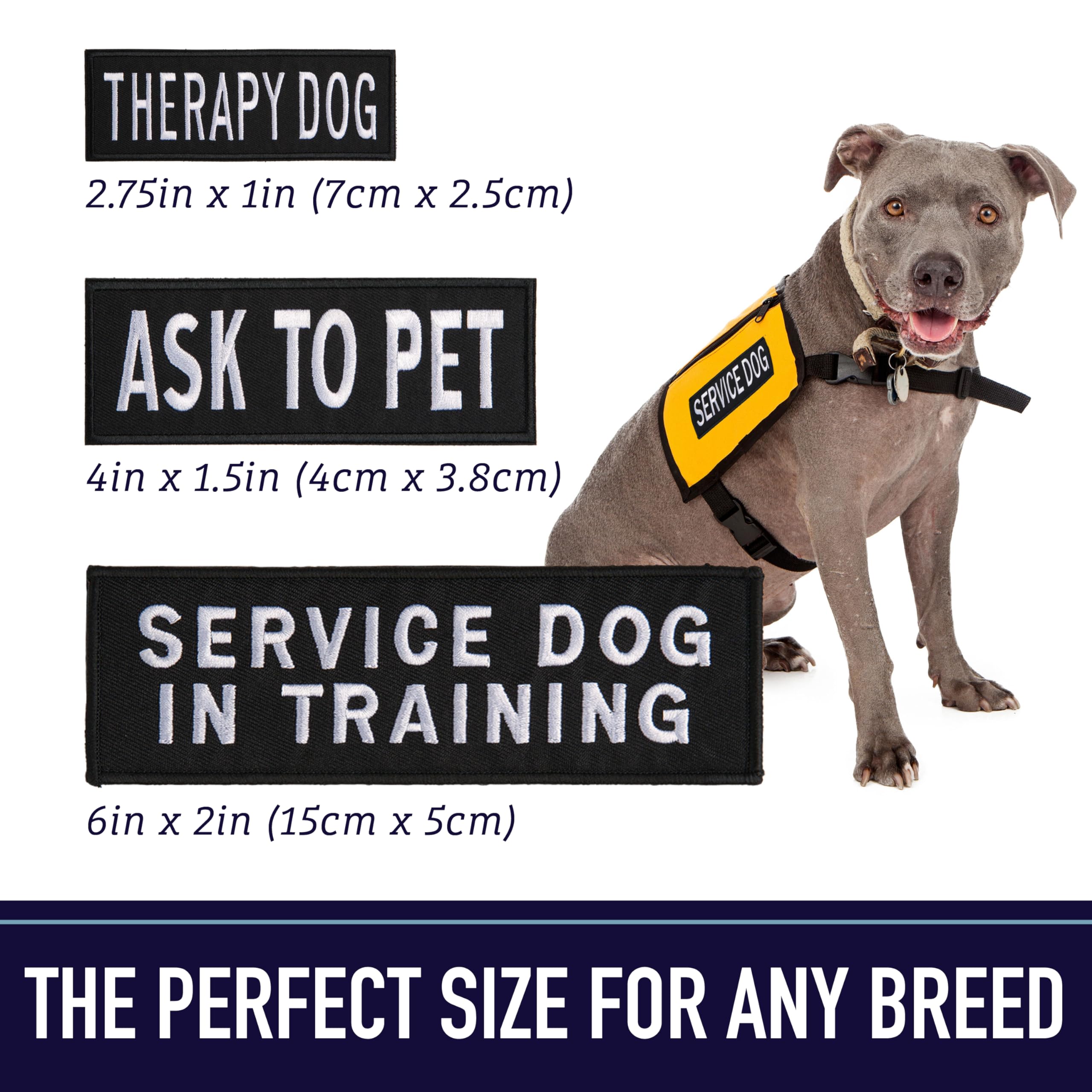Leash Boss Service Dog Patches for Harness | Velcro Patches for Dog Harness or Vest | Do Not Pet Patch, Dog in Training, Service