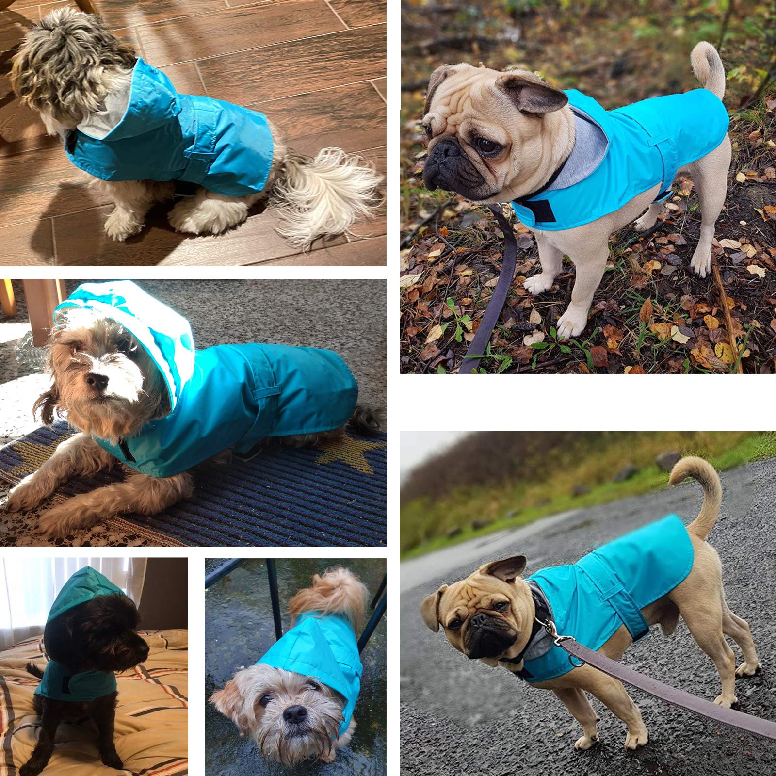 Leerking Dog Raincoat Hooded Leash Hole 10 Sizes, Waterproof Double Layer Dog Rain Coat Jacket With Cotton Lining For Small Medium And Large Dog,Blue,Xxl