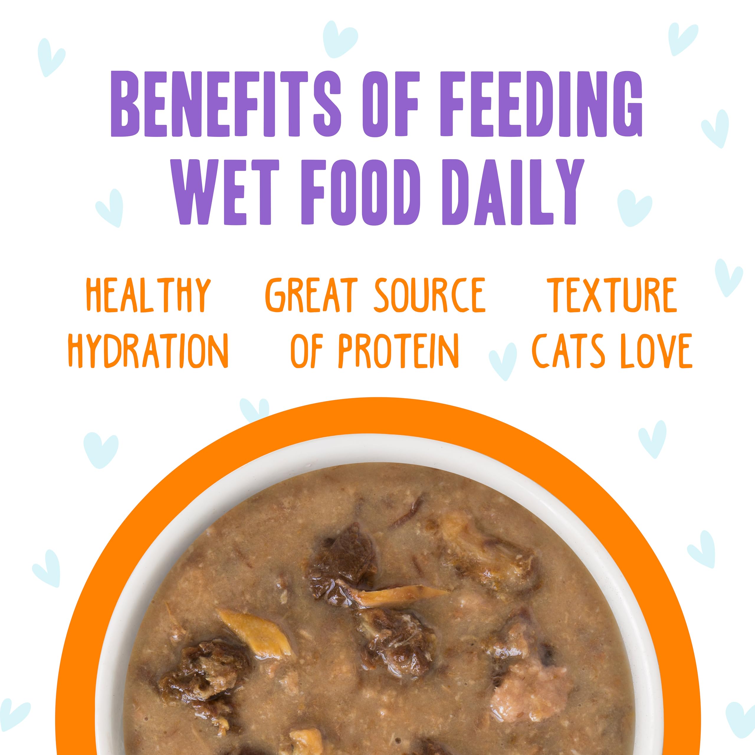 Weruva B.F.F. OMG - Best Feline Friend Oh My Gravy!, Purr-FECT Plannin! with Chicken, Turkey & Salmon in Gravy Cat Food, 2.8oz