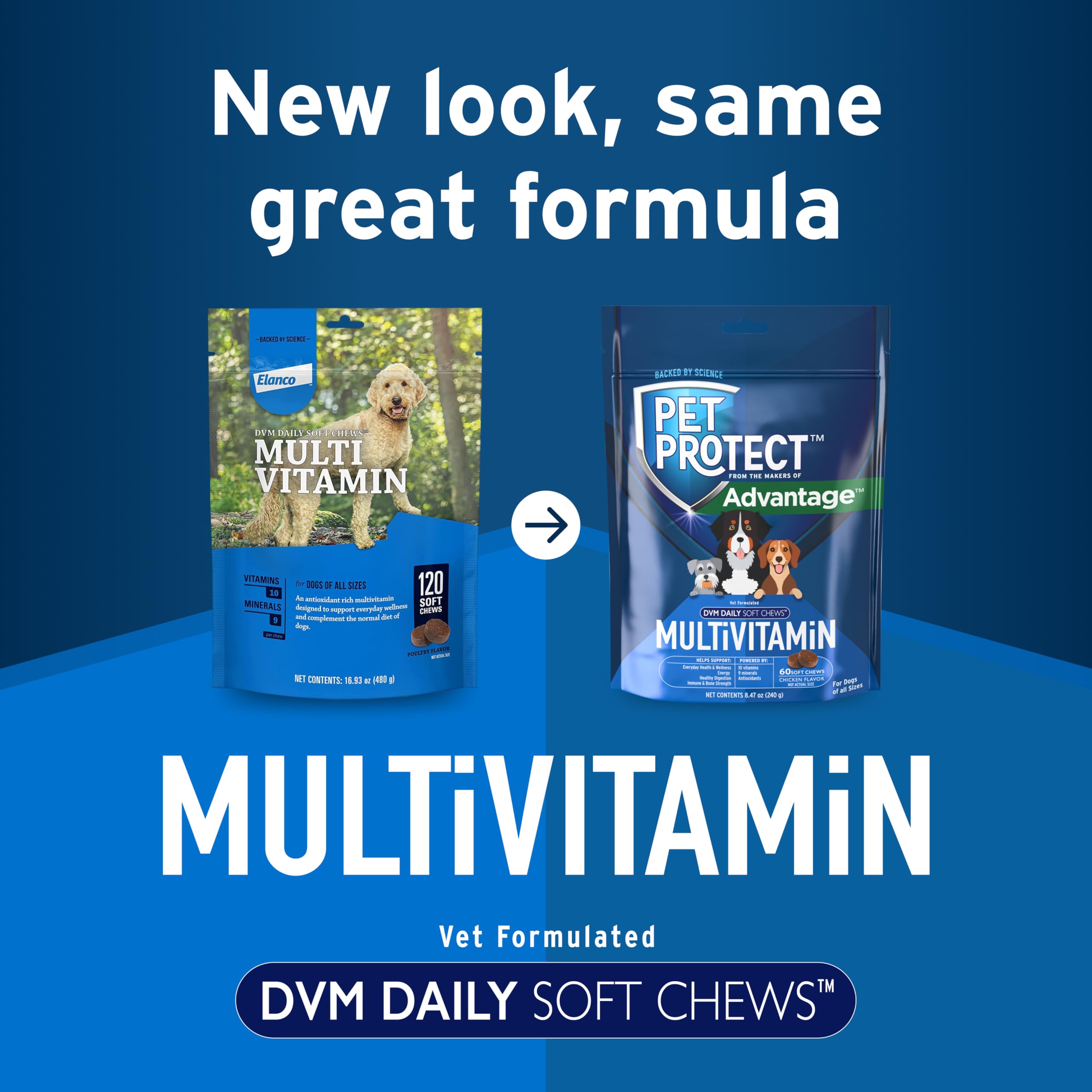 Pet Protect Dog Multivitamin, Vet-Formulated DVM Daily Soft Chews, Supports Ongoing Health & Wellness, Chicken-Flavor (60 Count)